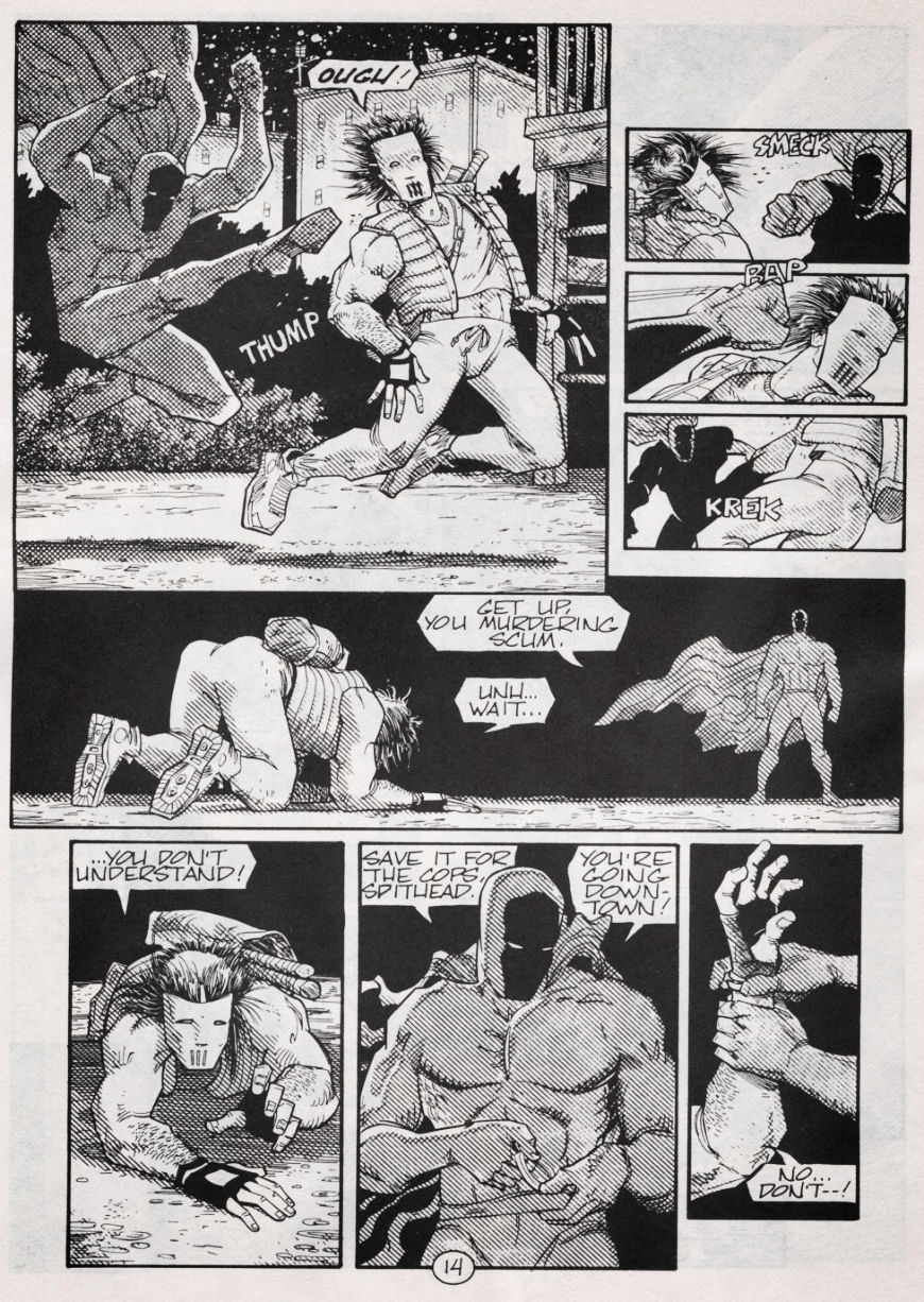 Teenage Mutant Ninja Turtles (1984) Issue #48 #48 - English 15