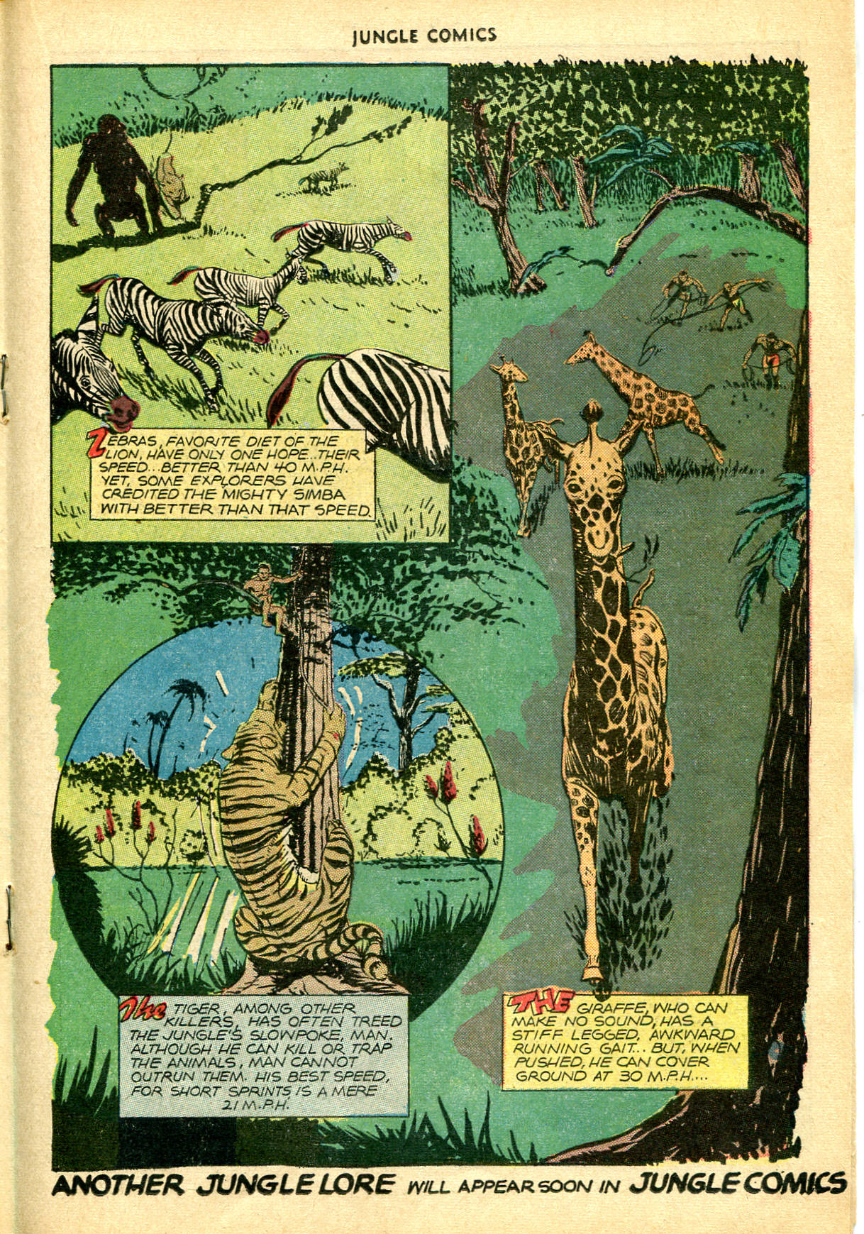 Read online Jungle Comics comic -  Issue #83 - 28