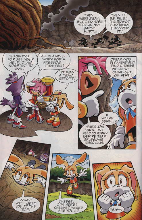 Read online Sonic Universe comic -  Issue #22 - 12
