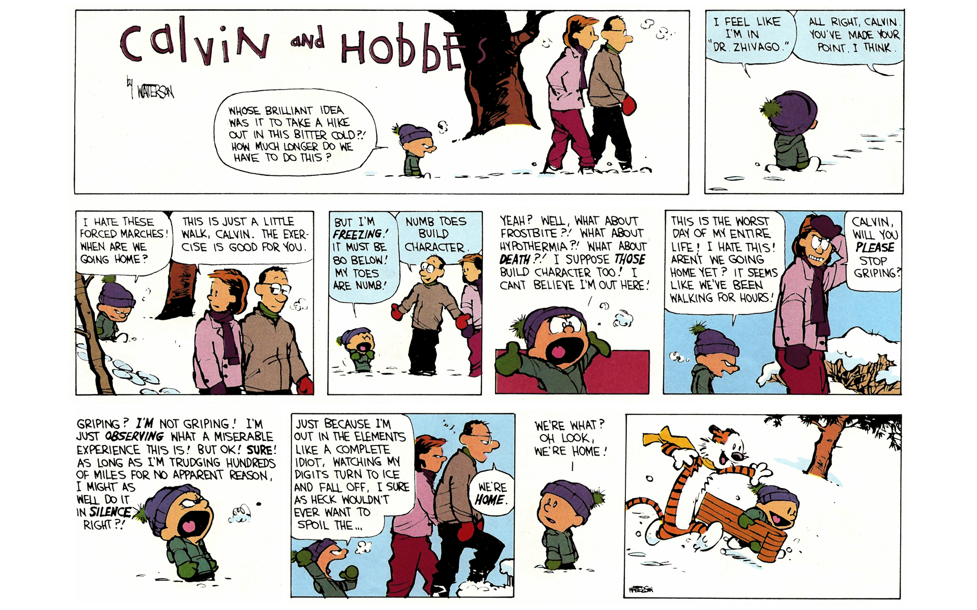 Read online Calvin and Hobbes comic -  Issue #6 - 87