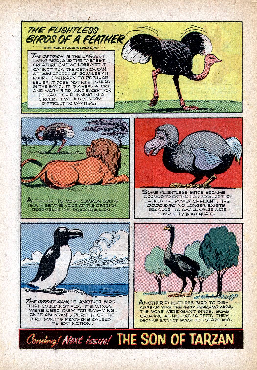 Read online Tarzan (1962) comic -  Issue #157 - 33