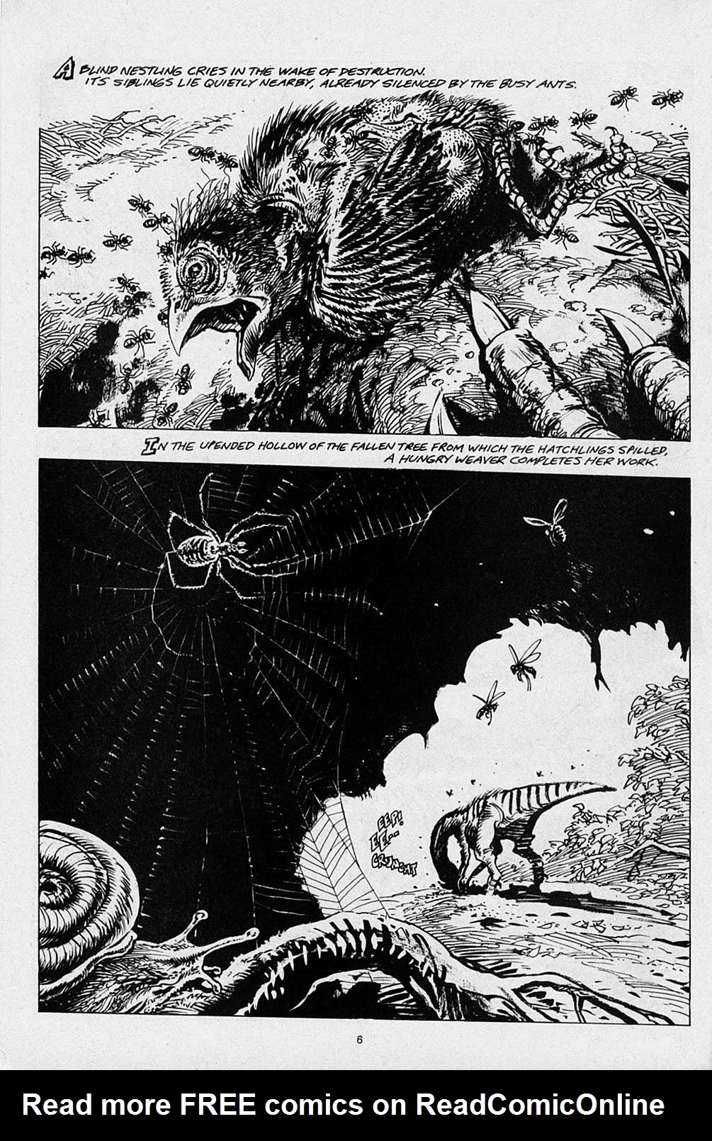 Read online S.R. Bissette's Tyrant comic -  Issue #2 - 8