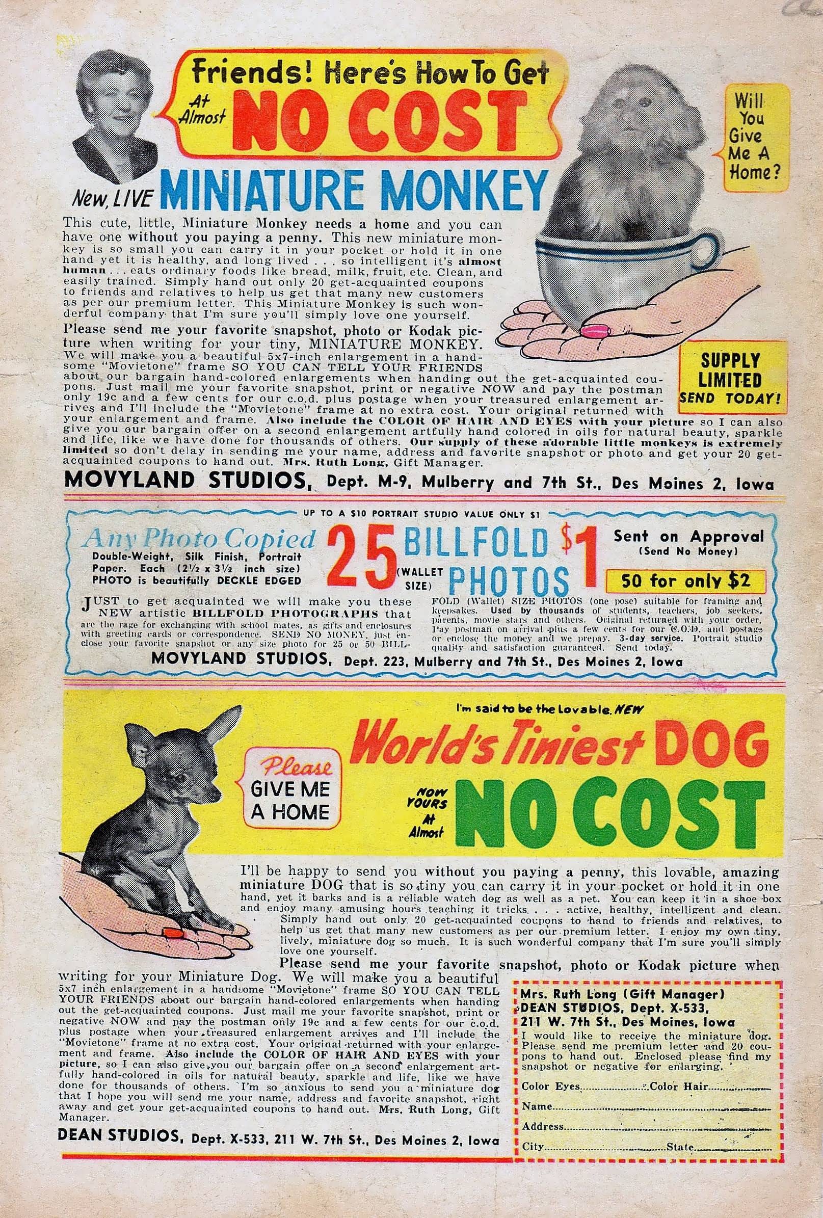 Read online Battleground comic -  Issue #19 - 36