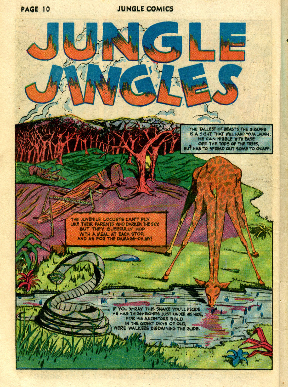 Read online Jungle Comics comic -  Issue #26 - 12