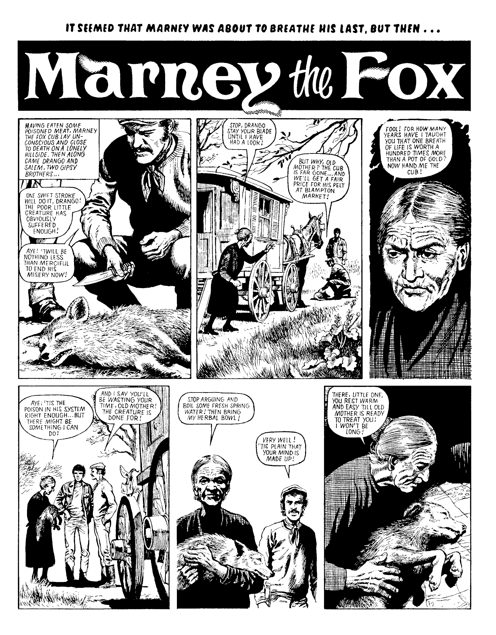 Read online Marney the Fox comic -  Issue # TPB (Part 1) - 95
