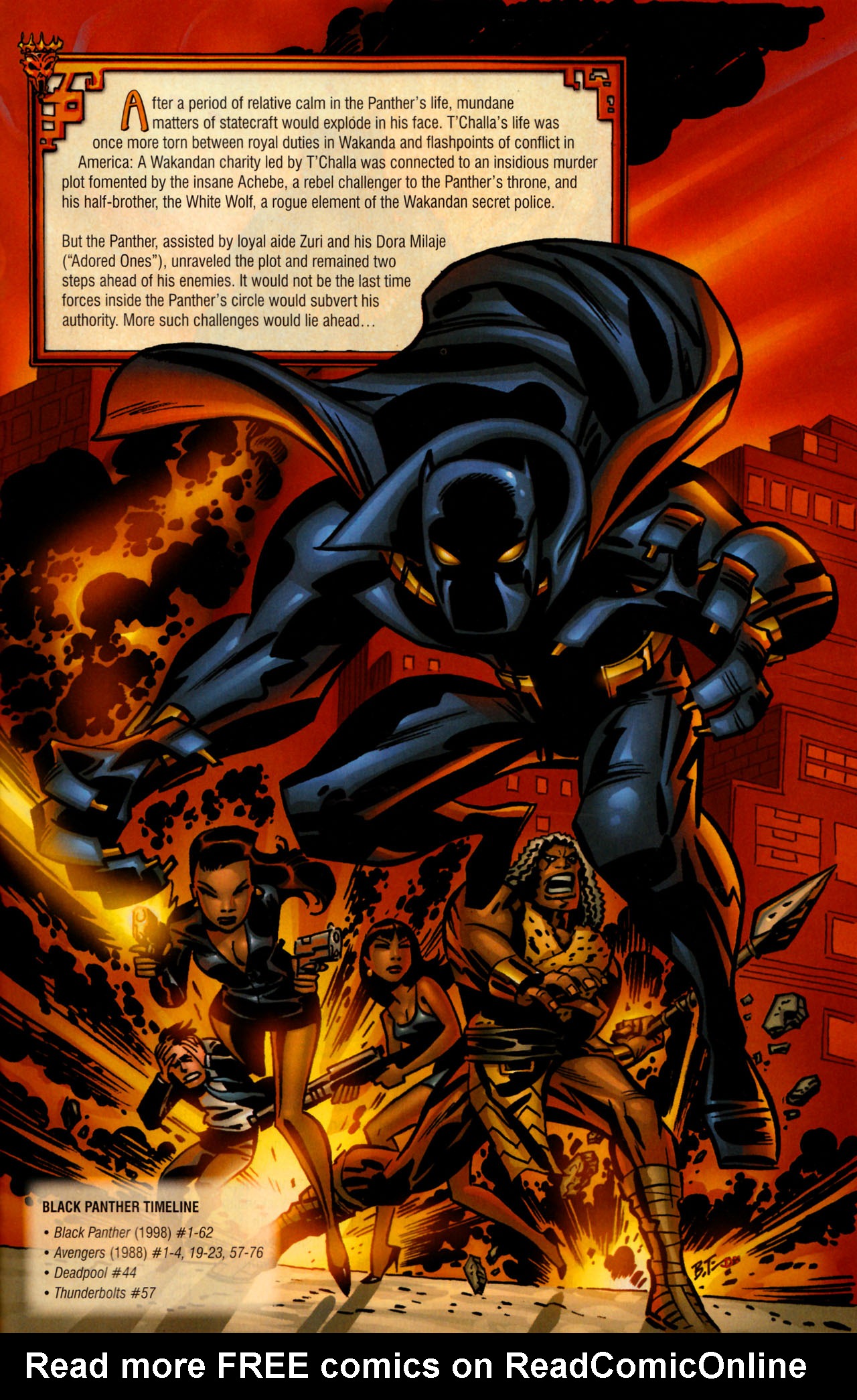 Read online Black Panther (2009) comic -  Issue #1 - 30