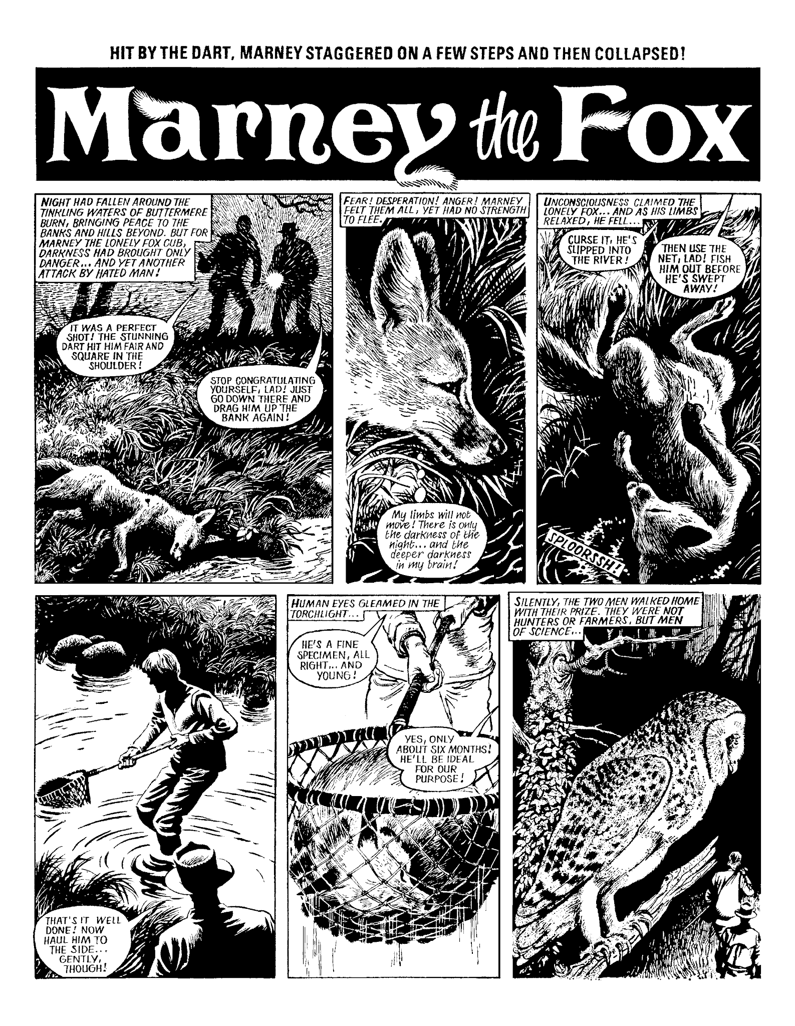 Read online Marney the Fox comic -  Issue # TPB (Part 1) - 69