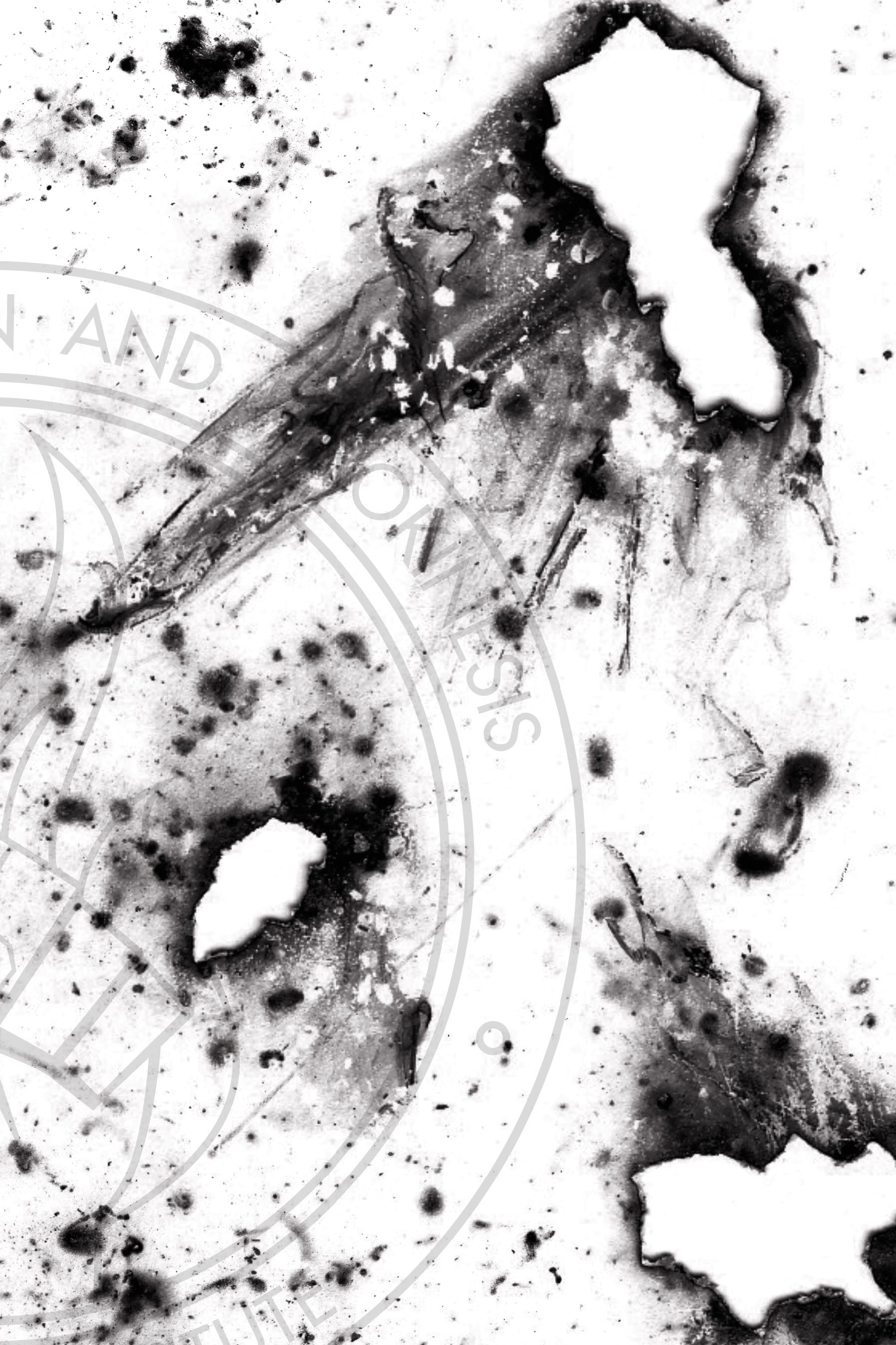 Read online Billy the Pyro comic -  Issue #1 - 27