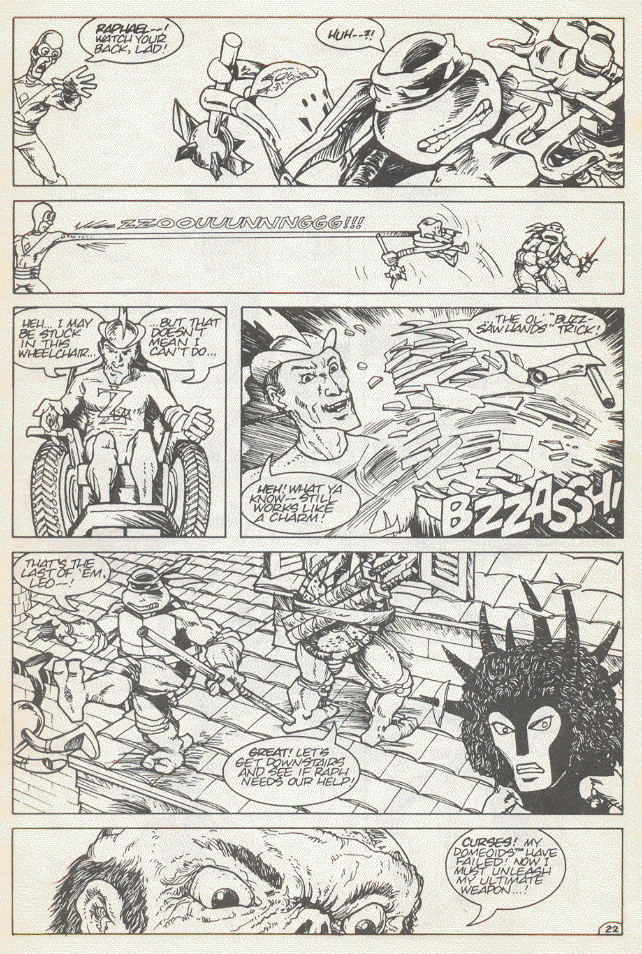 Read online Teenage Mutant Ninja Turtles (1984) comic -  Issue #15 - 25