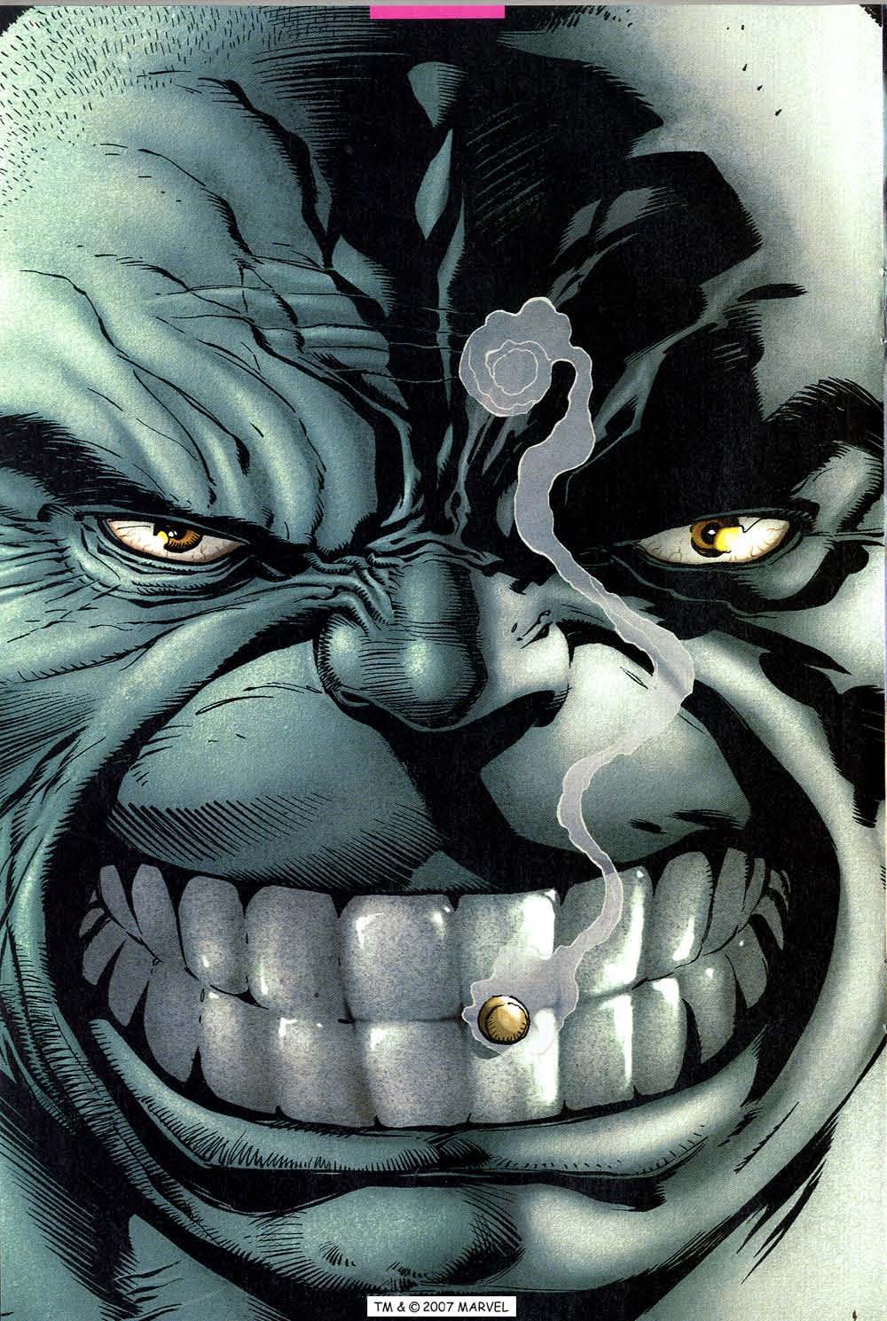 The Incredible Hulk (2000) Issue #43 #32 - English 16