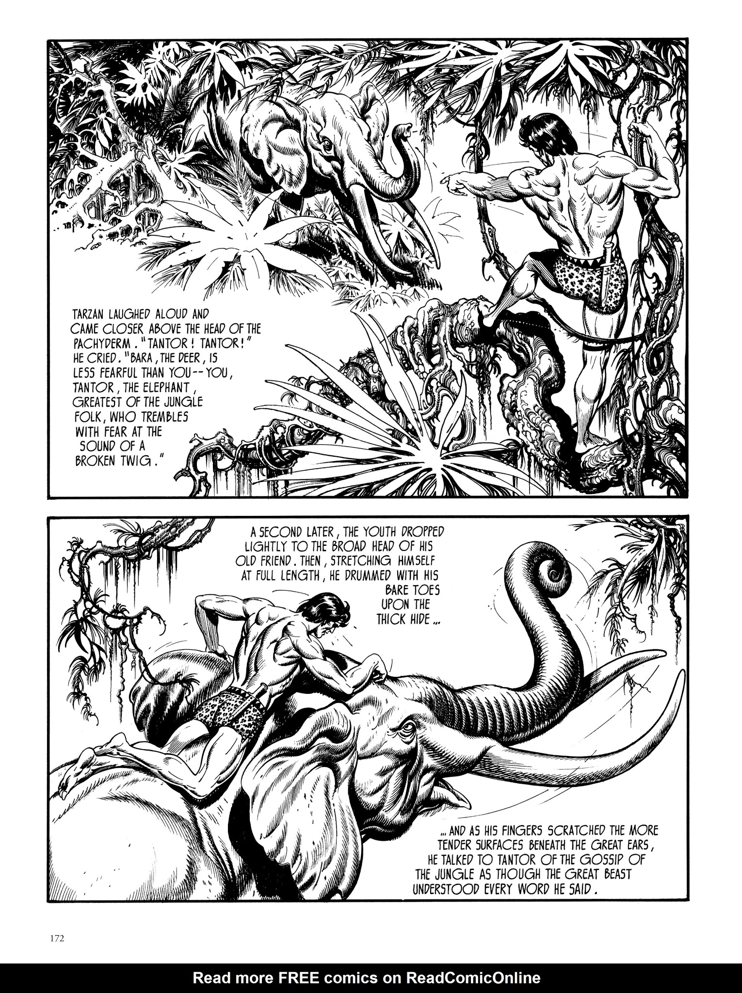 Read online Edgar Rice Burroughs' Tarzan: Burne Hogarth's Lord of the Jungle comic -  Issue # TPB - 171