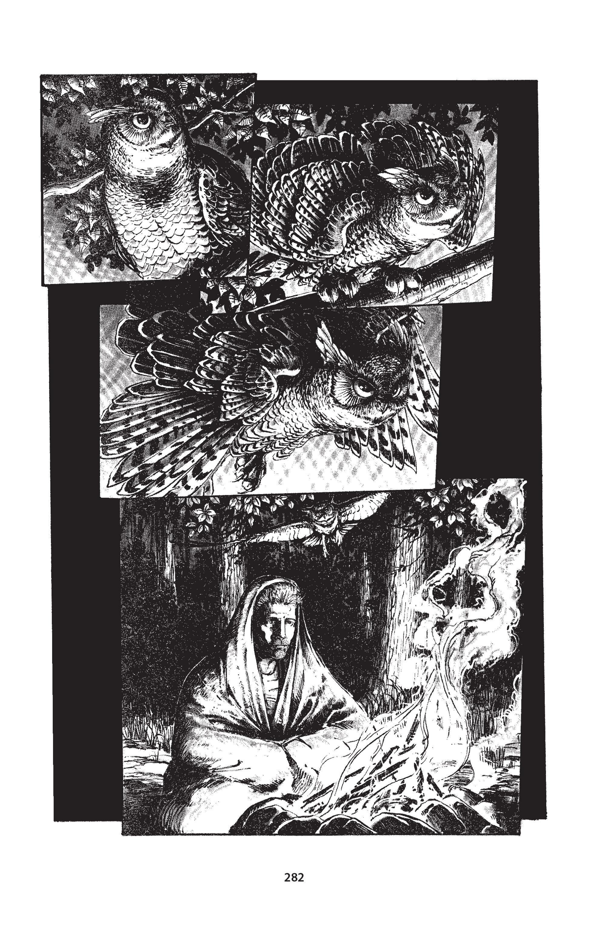 Read online The Puma Blues comic -  Issue # TPB (Part2) - 20