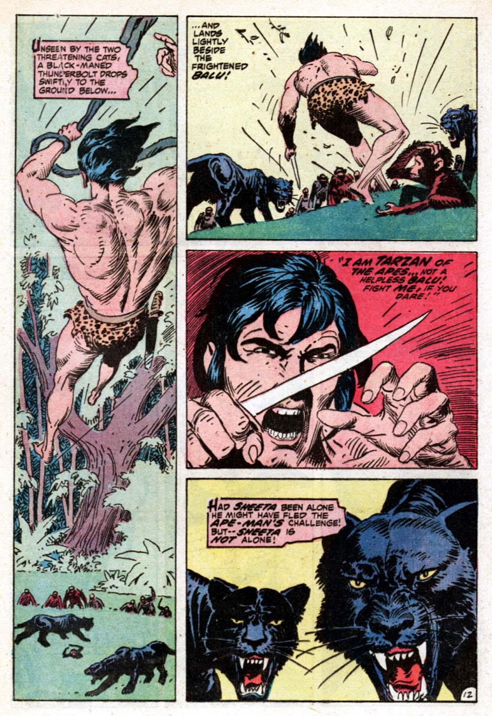 Read online Tarzan (1972) comic -  Issue #213 - 14