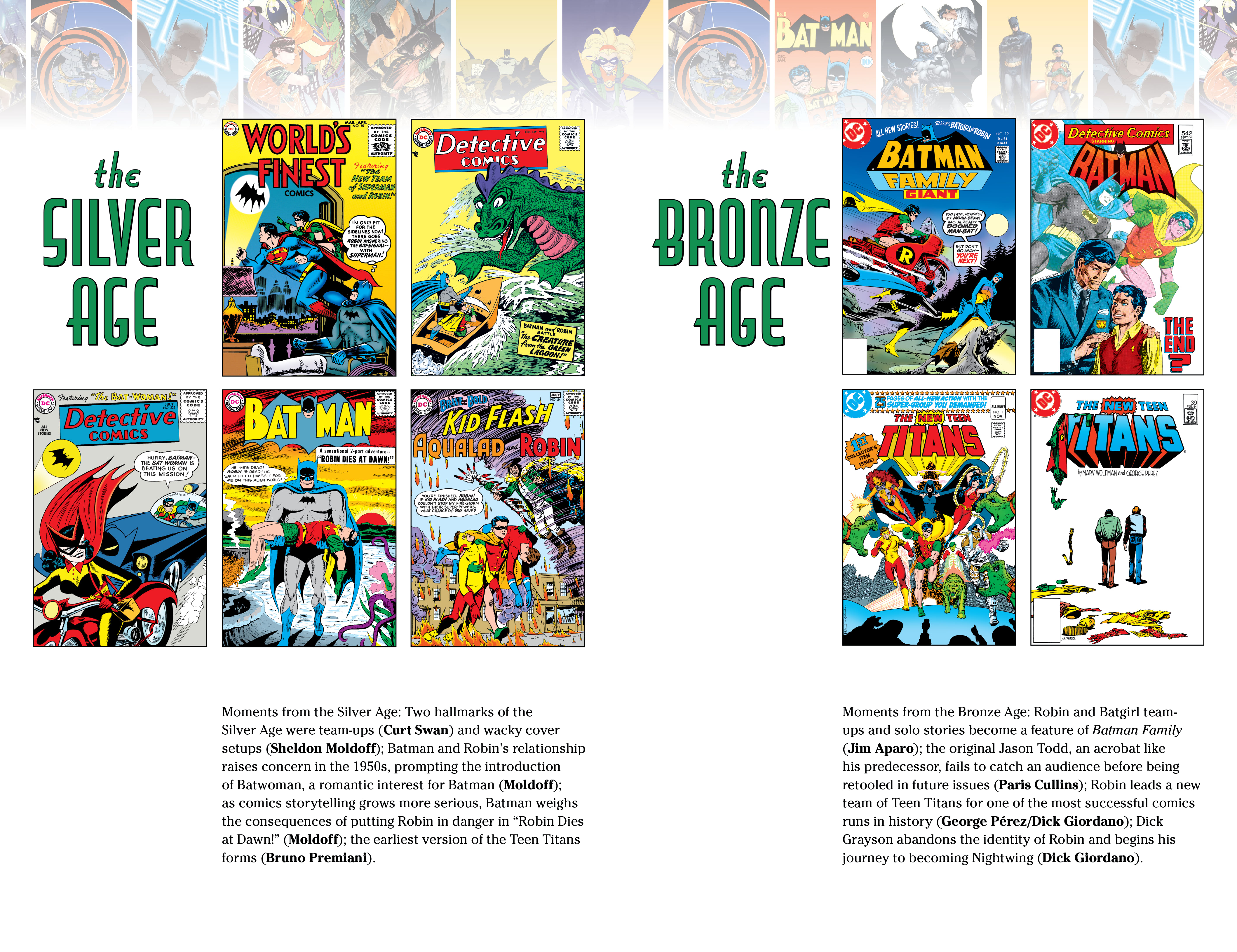 Read online Robin: 80 Years of the Boy Wonder: The Deluxe Edition comic -  Issue # TPB (Part 4) - 97