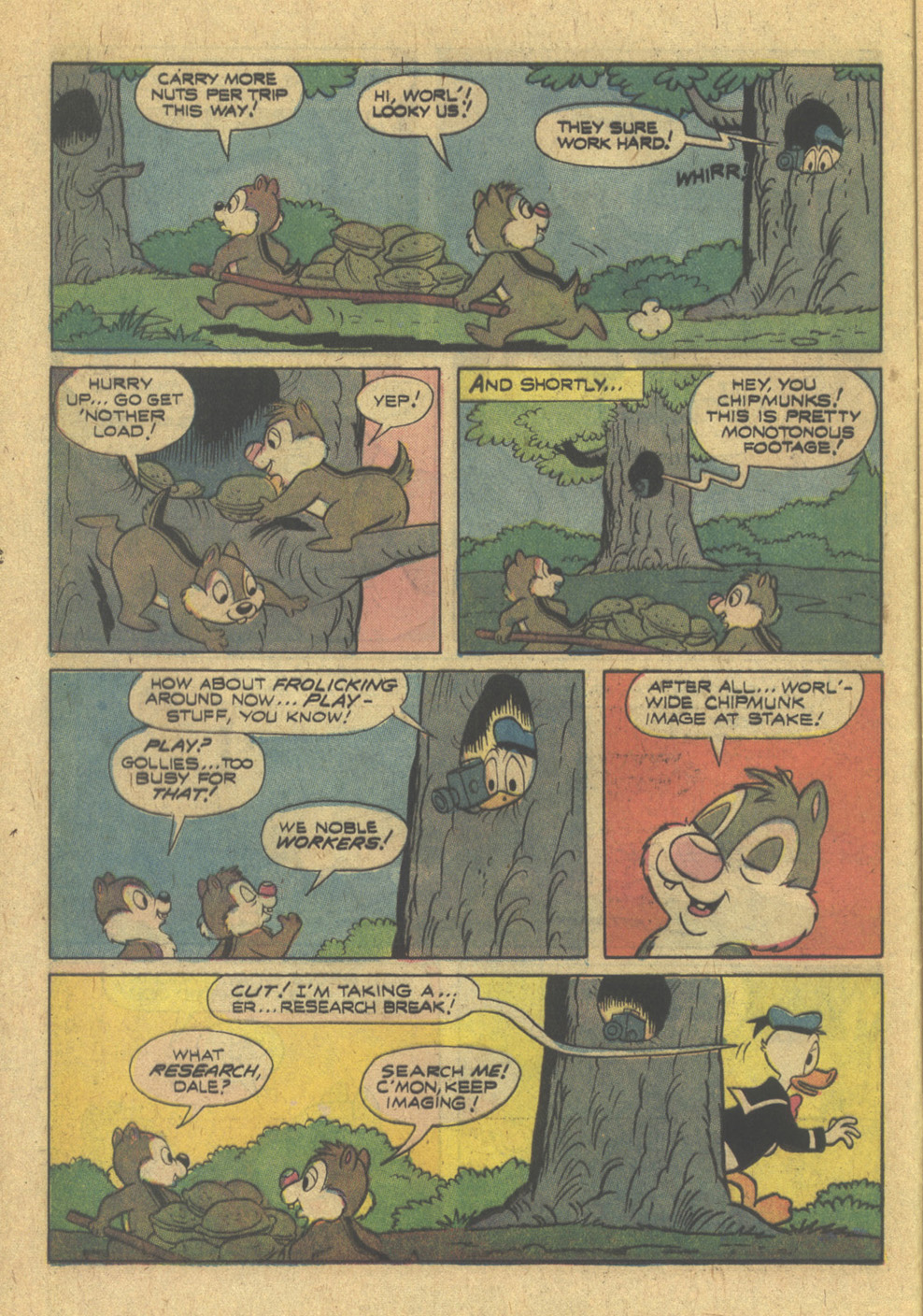 Read online Walt Disney Chip 'n' Dale comic -  Issue #41 - 12
