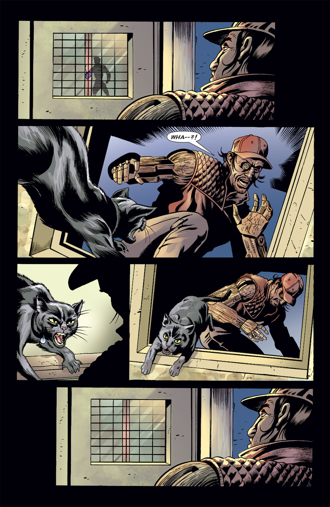 Read online Catwoman (2002) comic -  Issue #39 - 10