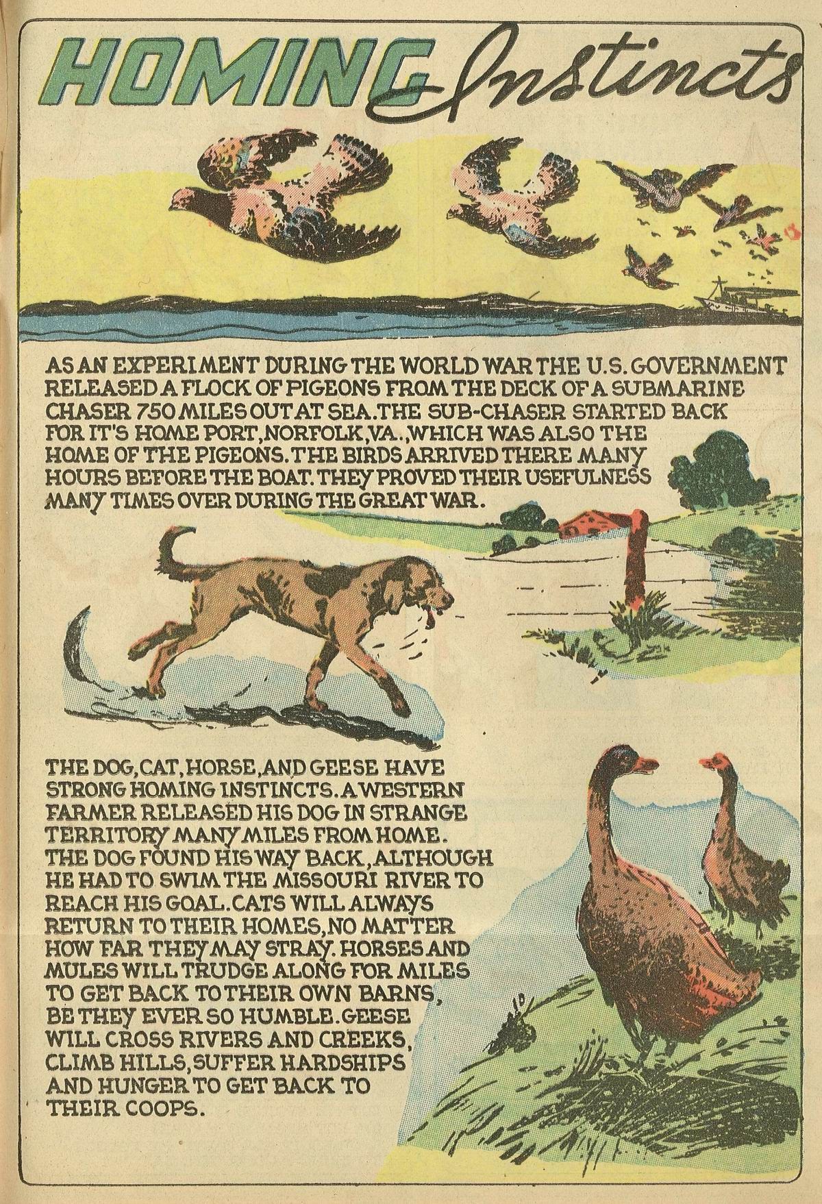 Read online Star Comics comic -  Issue #9 - 57