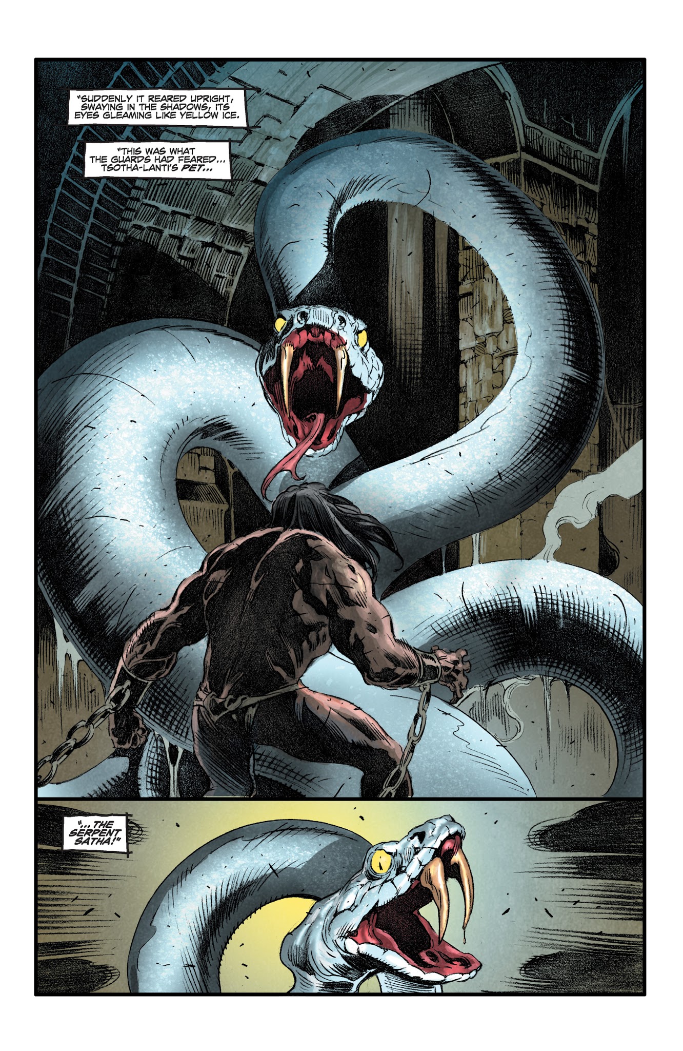 Read online King Conan: The Scarlet Citadel comic -  Issue # TPB - 33