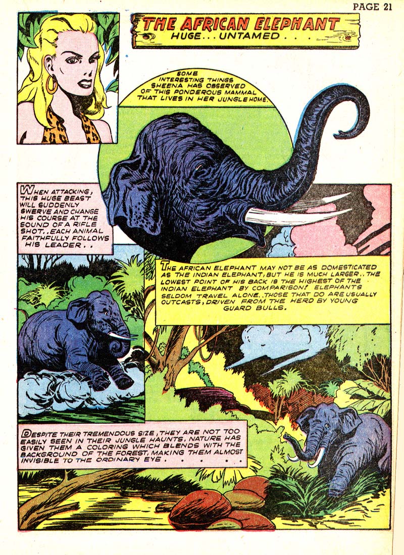 Read online Sheena, Queen of the Jungle (1942) comic -  Issue #3 - 24