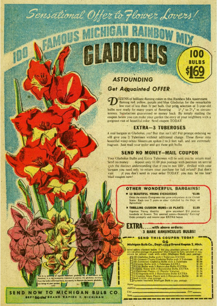 Read online Jo-Jo Congo King comic -  Issue #27 - 33