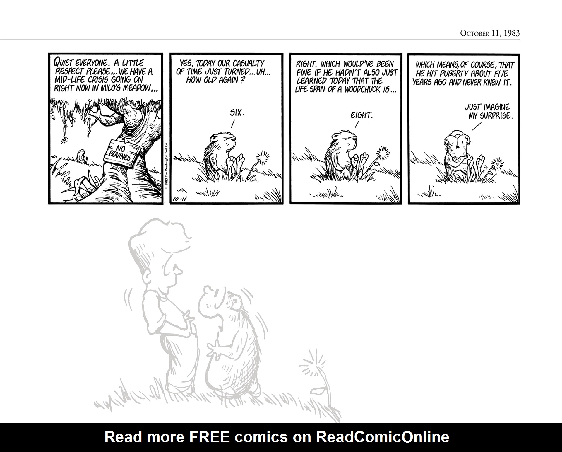 Read online The Bloom County Digital Library comic -  Issue # TPB 3 (Part 3) - 95