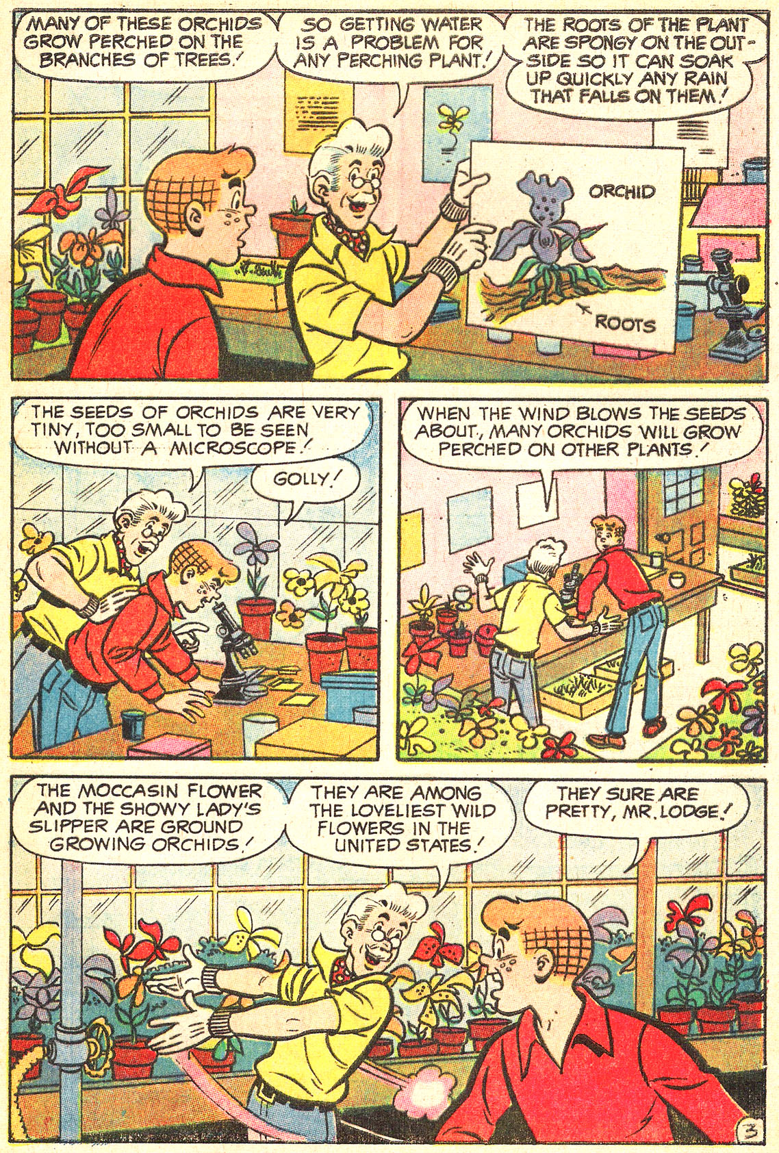 Read online Laugh (Comics) comic -  Issue #245 - 5