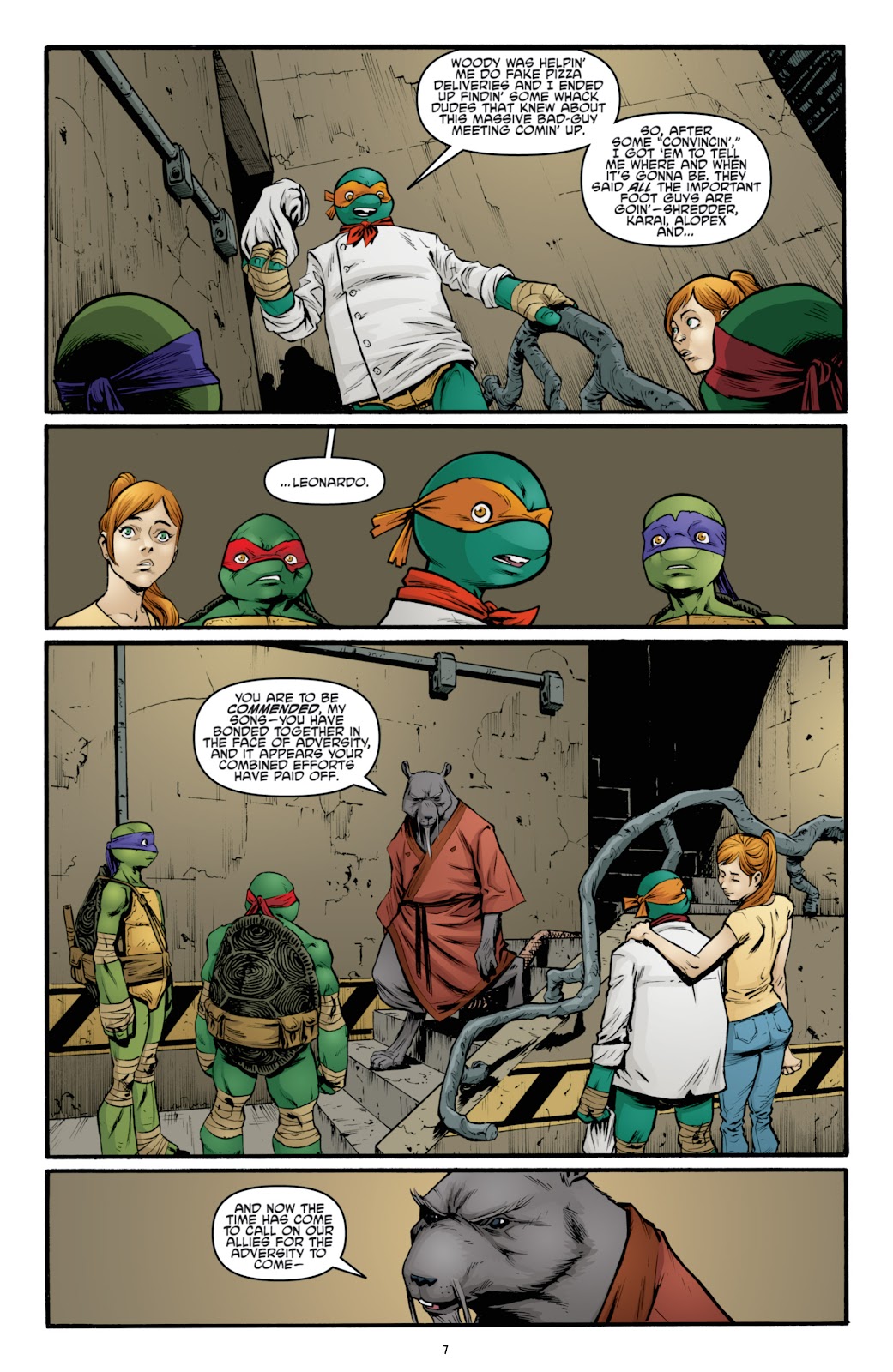 Teenage Mutant Ninja Turtles (2011) issue 27 - Page 12