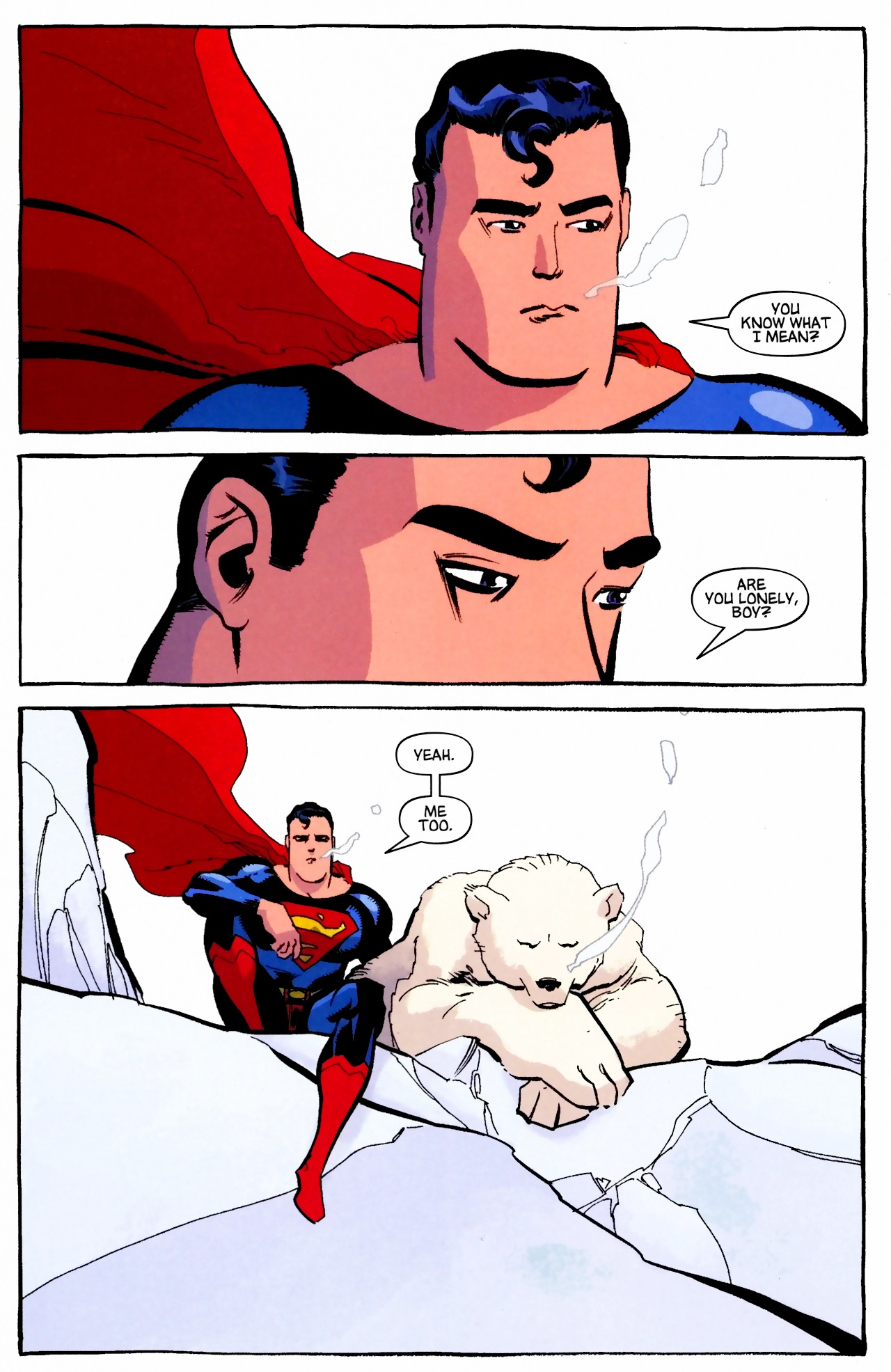 Superman Confidential Issue #3 #3 - English 14