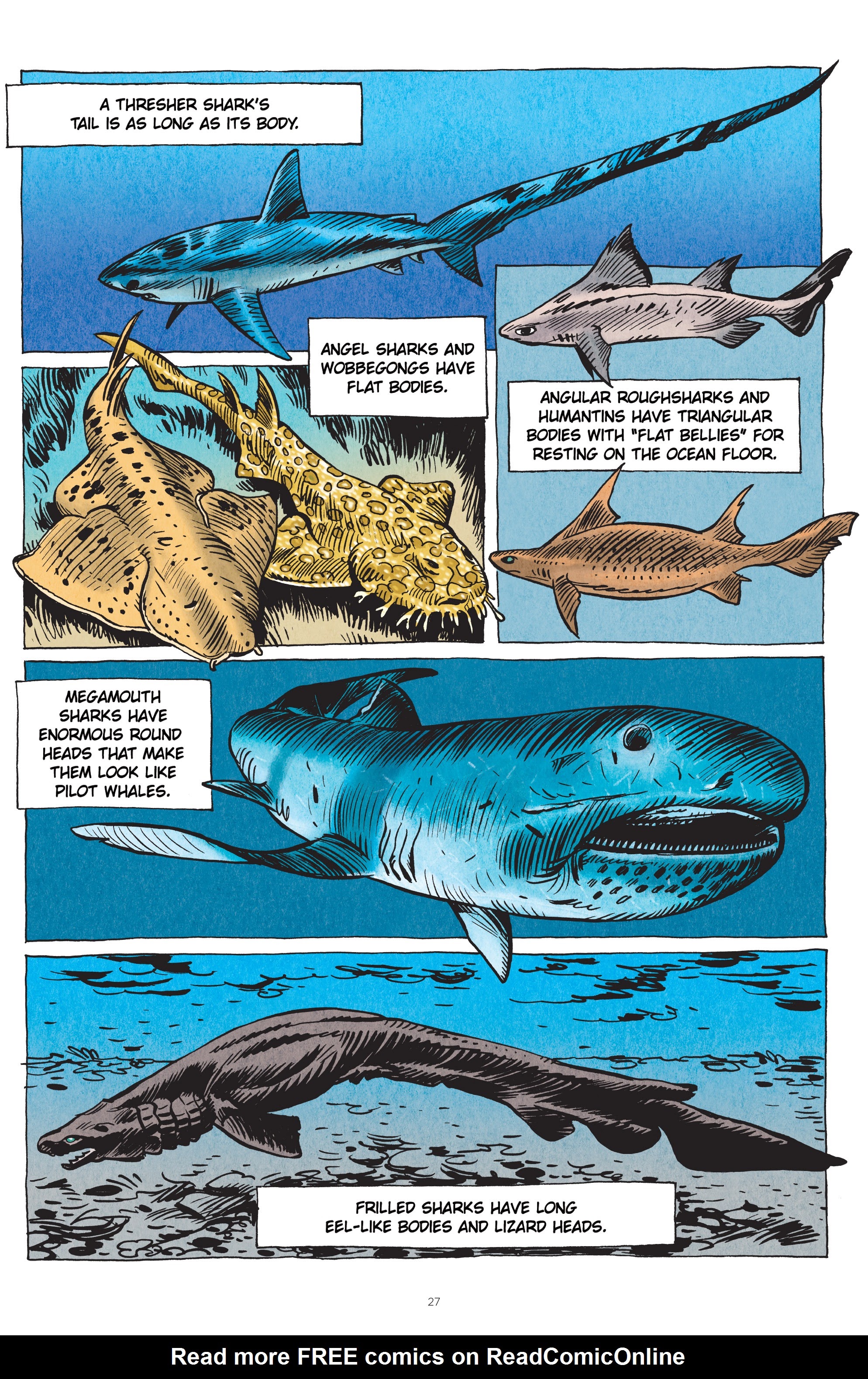 Read online Little Book of Knowledge: Sharks comic -  Issue # TPB - 27
