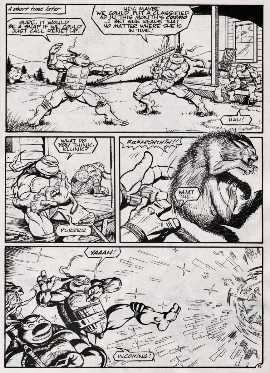 Teenage Mutant Ninja Turtles (1984) Issue #46 #46 - English 15