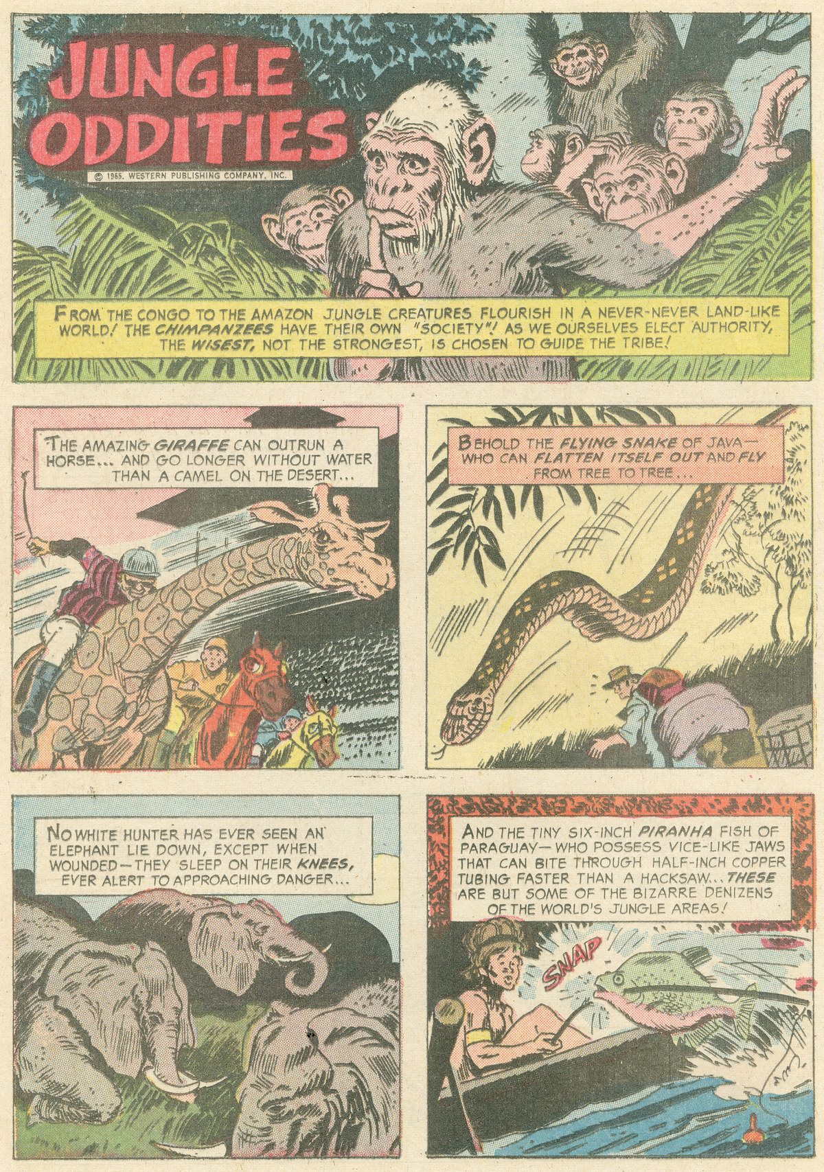 Read online The Phantom (1962) comic -  Issue #15 - 24