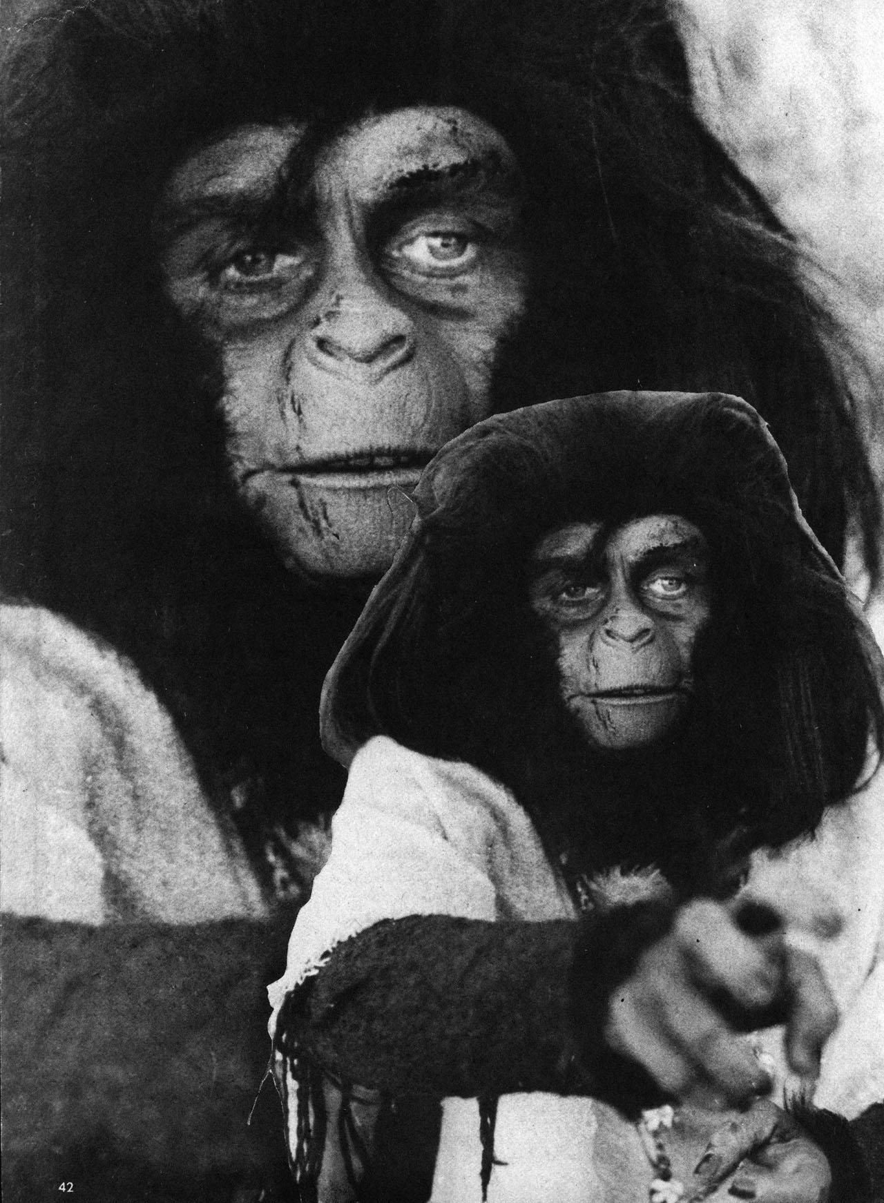 Read online Planet of the Apes comic -  Issue #13 - 42