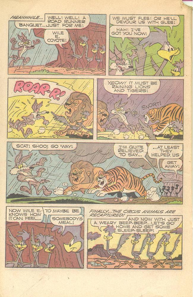 Read online Beep Beep The Road Runner comic -  Issue #19 - 19