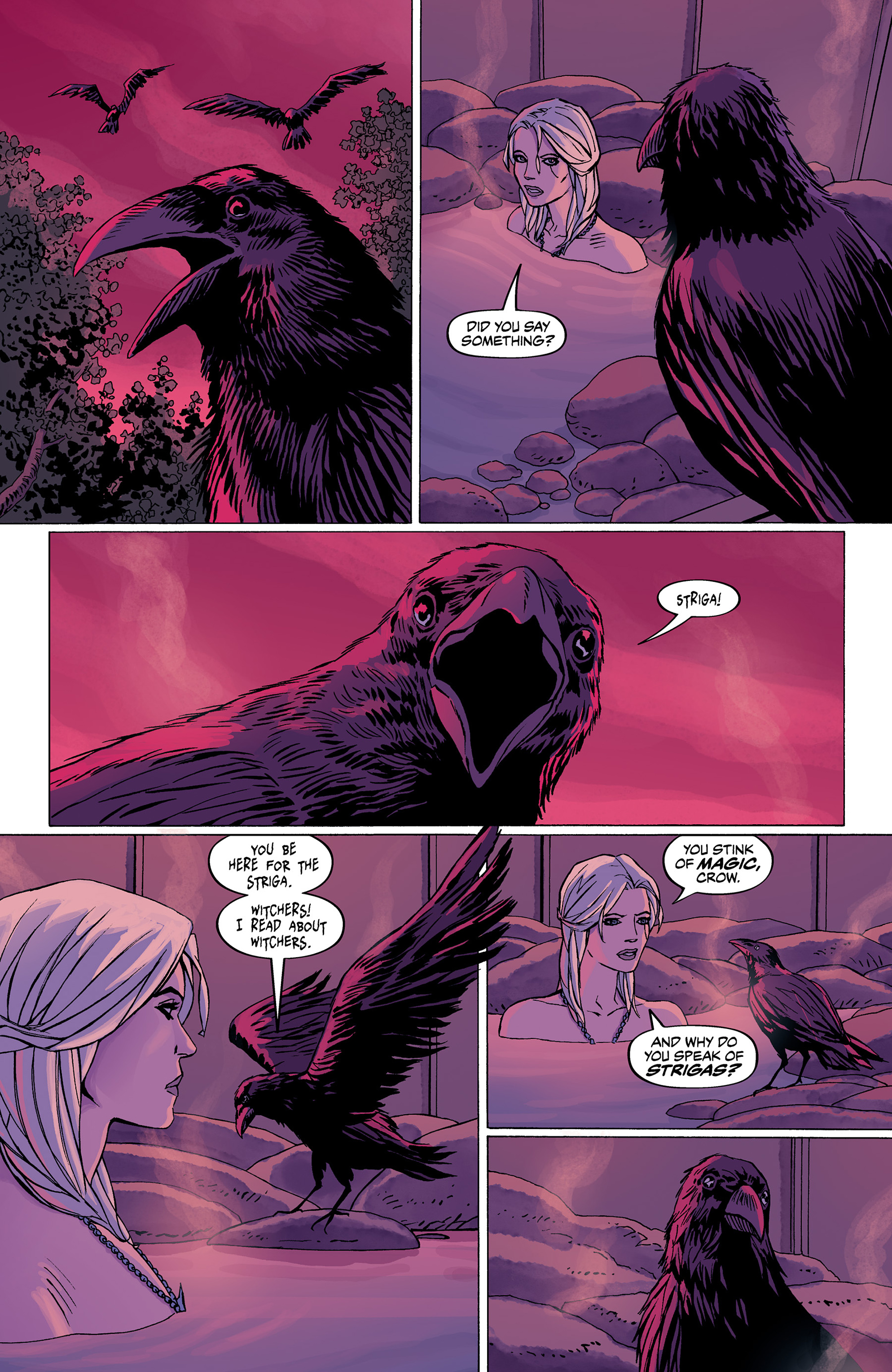 Read online The Witcher: Curse of Crows comic -  Issue #2 - 3