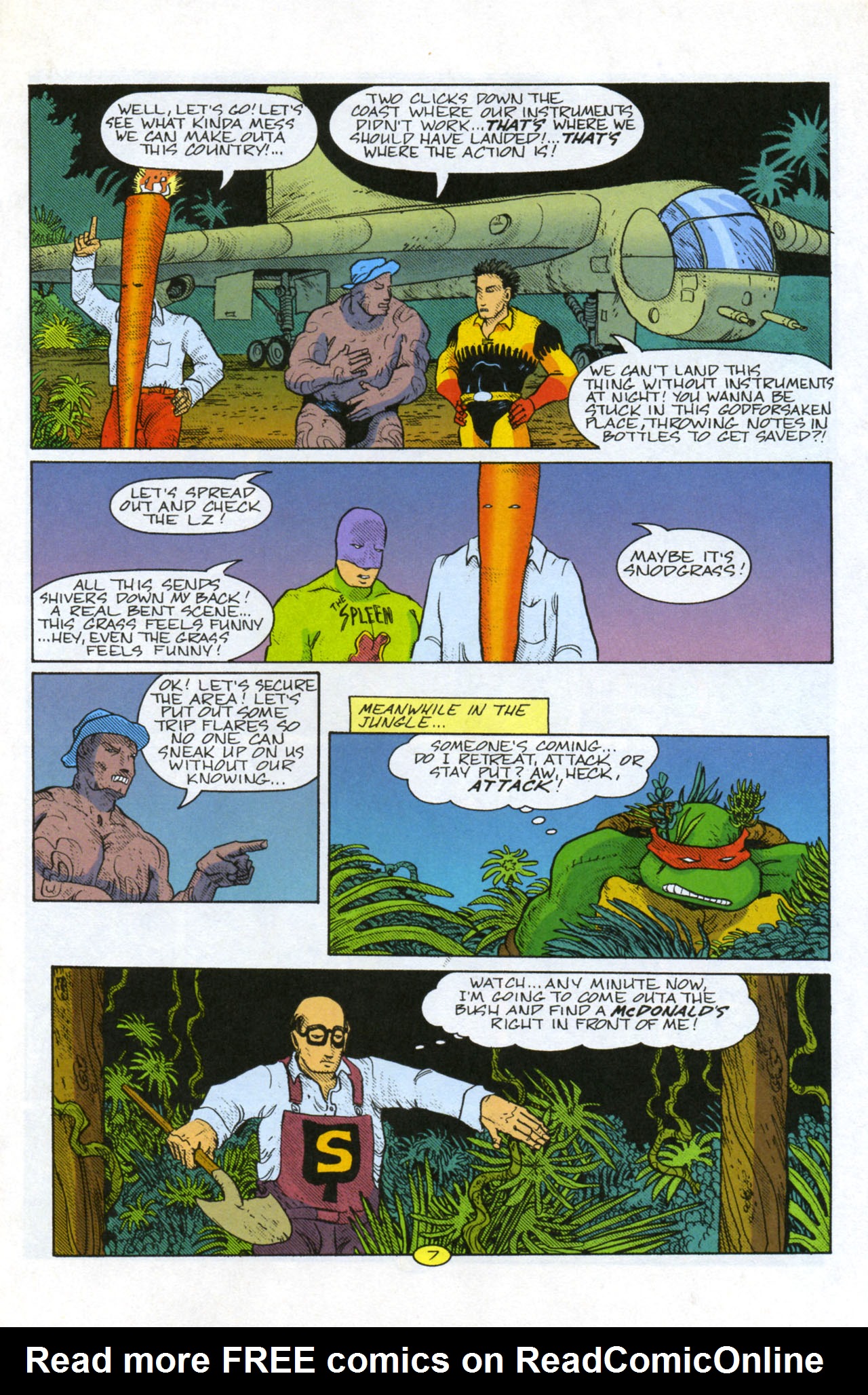 Read online Teenage Mutant Ninja Turtles/Flaming Carrot Crossover comic -  Issue #2 - 9