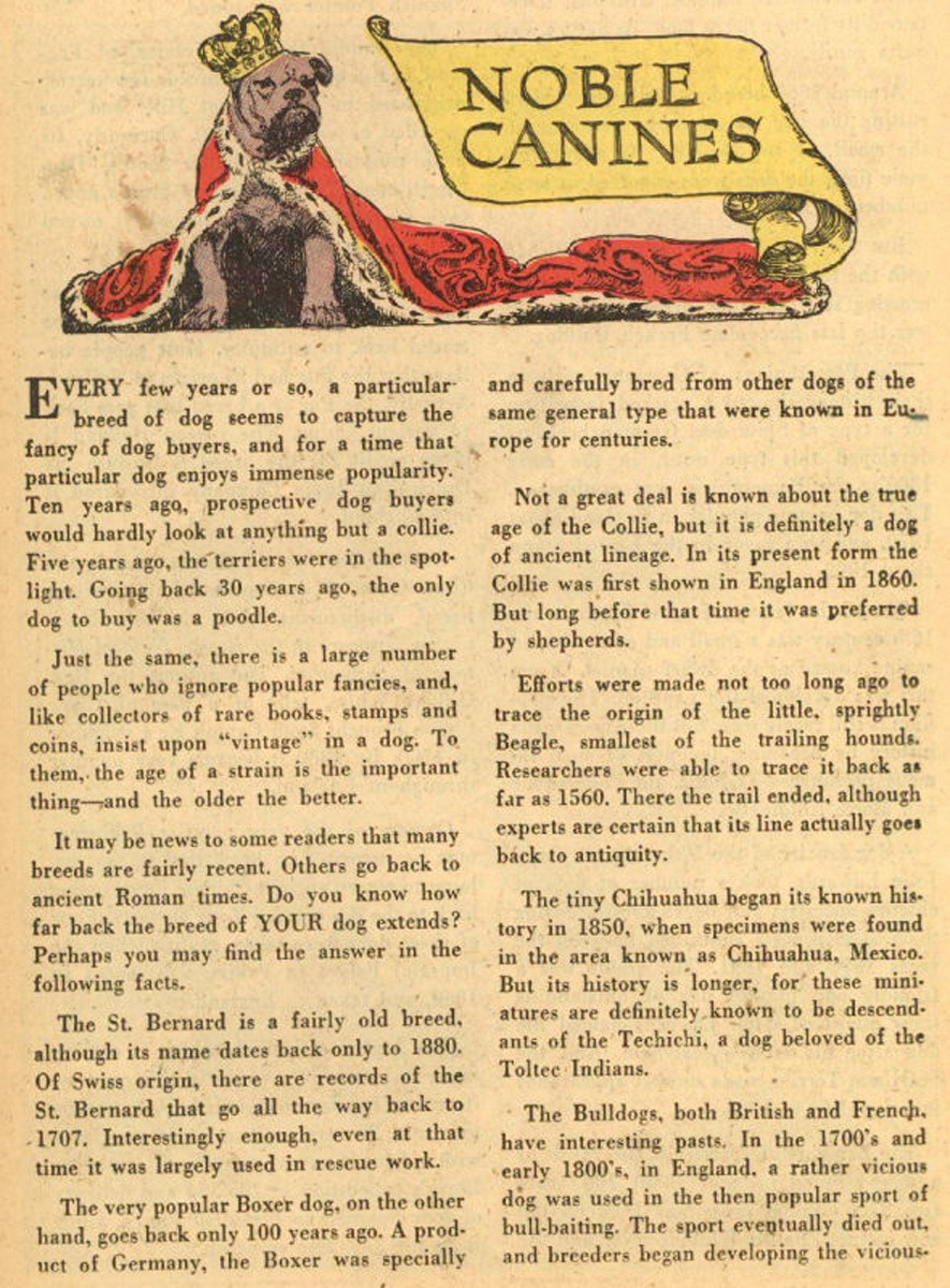 Read online The Adventures of Rex the Wonder Dog comic -  Issue #19 - 23