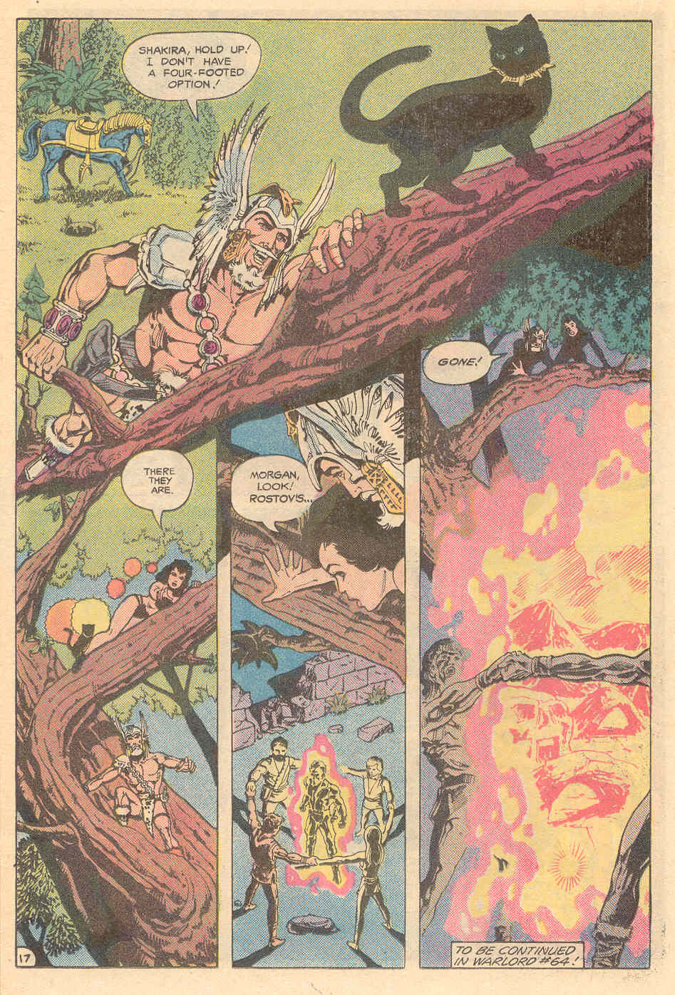 Read online Warlord (1976) comic -  Issue #63 - 17