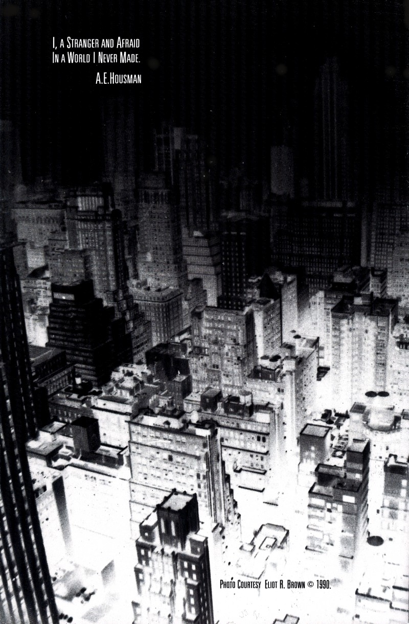 Read online The Last American comic -  Issue #2 - 2