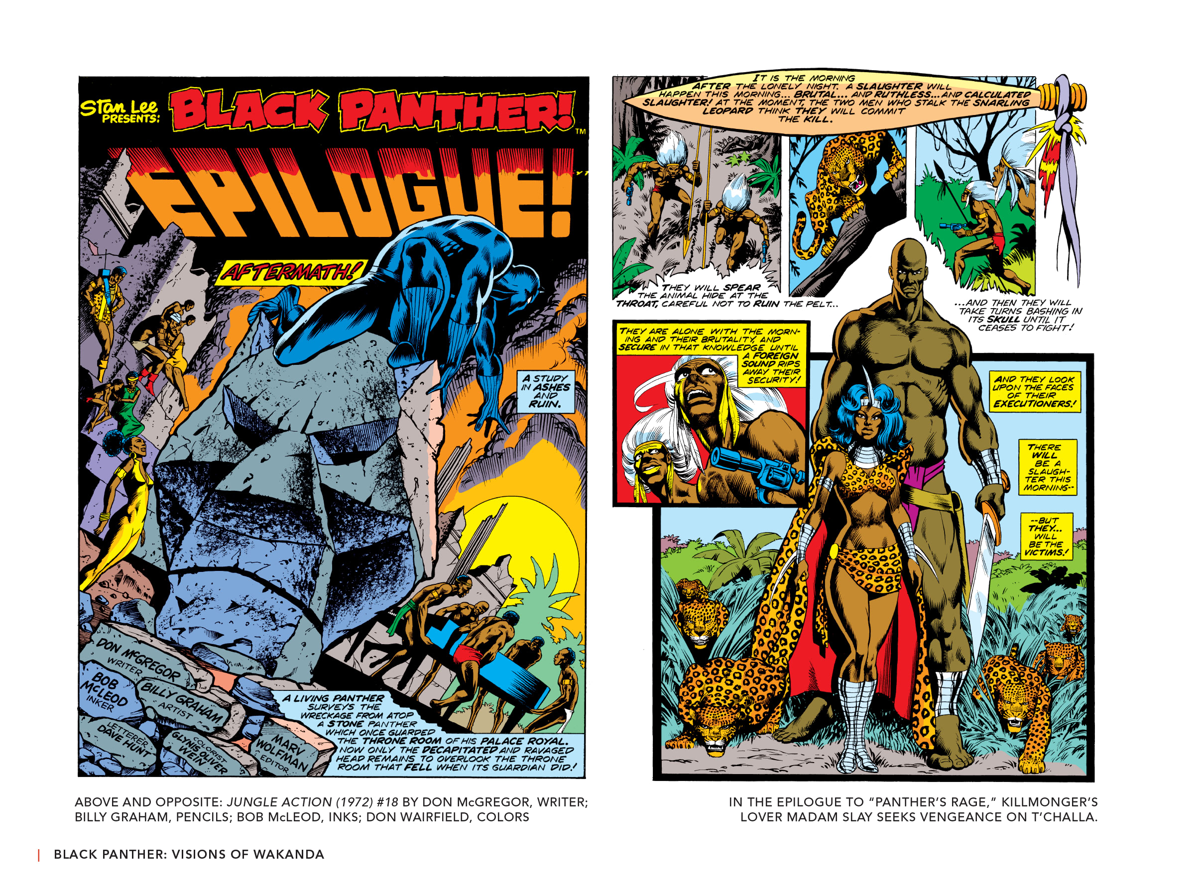 Read online Black Panther: Visions of Wakanda comic -  Issue # TPB (Part 1) - 82