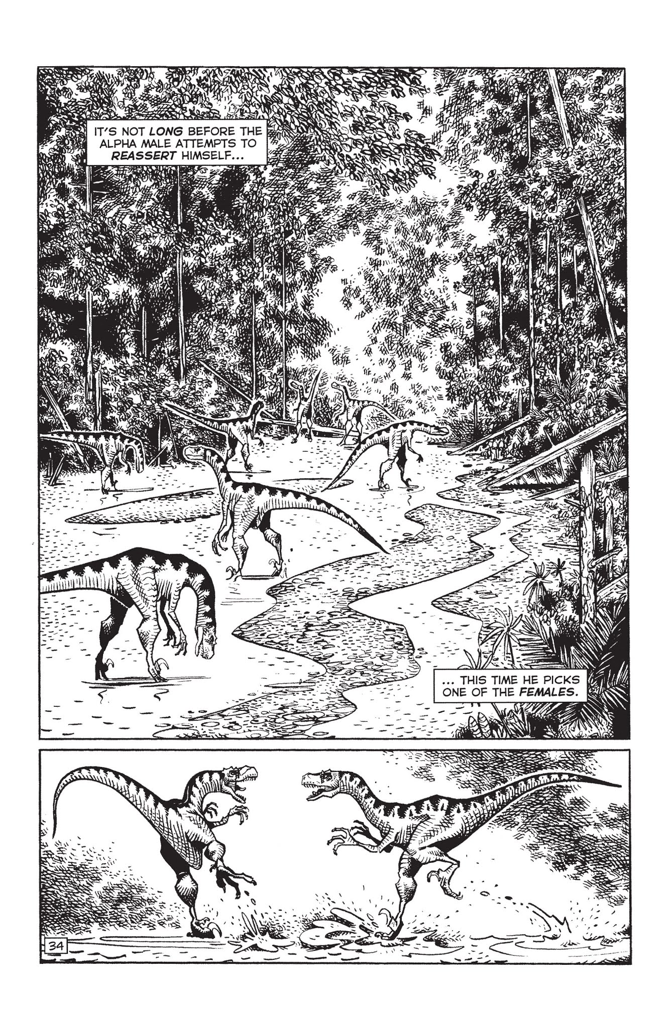 Read online Paleo: Tales of the late Cretaceous comic -  Issue # TPB (Part 1) - 49
