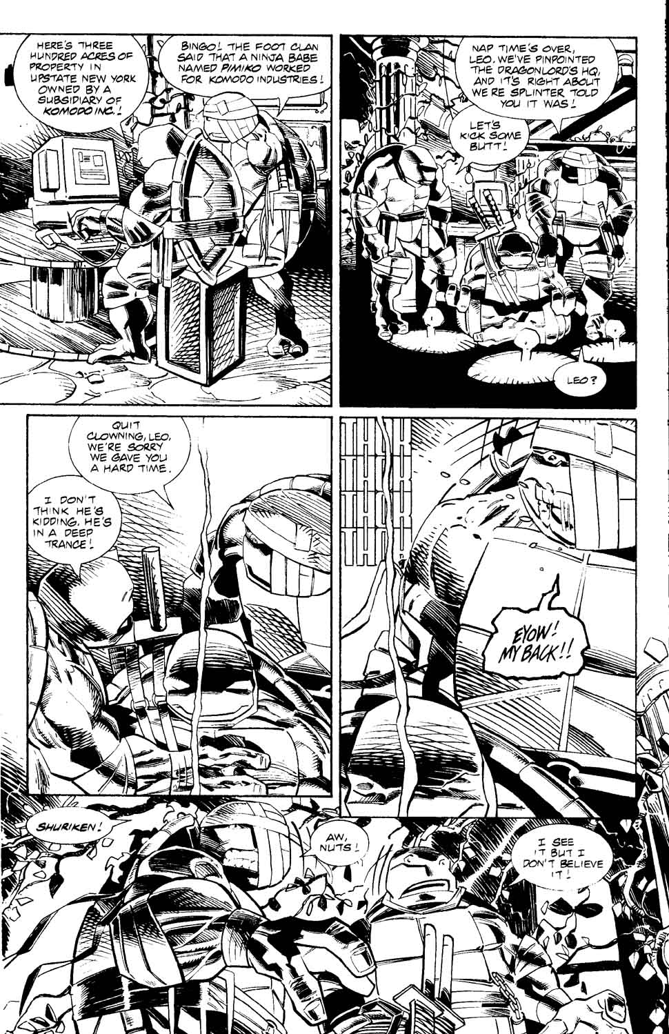 Teenage Mutant Ninja Turtles (1996) Issue #2 #2 - English 21