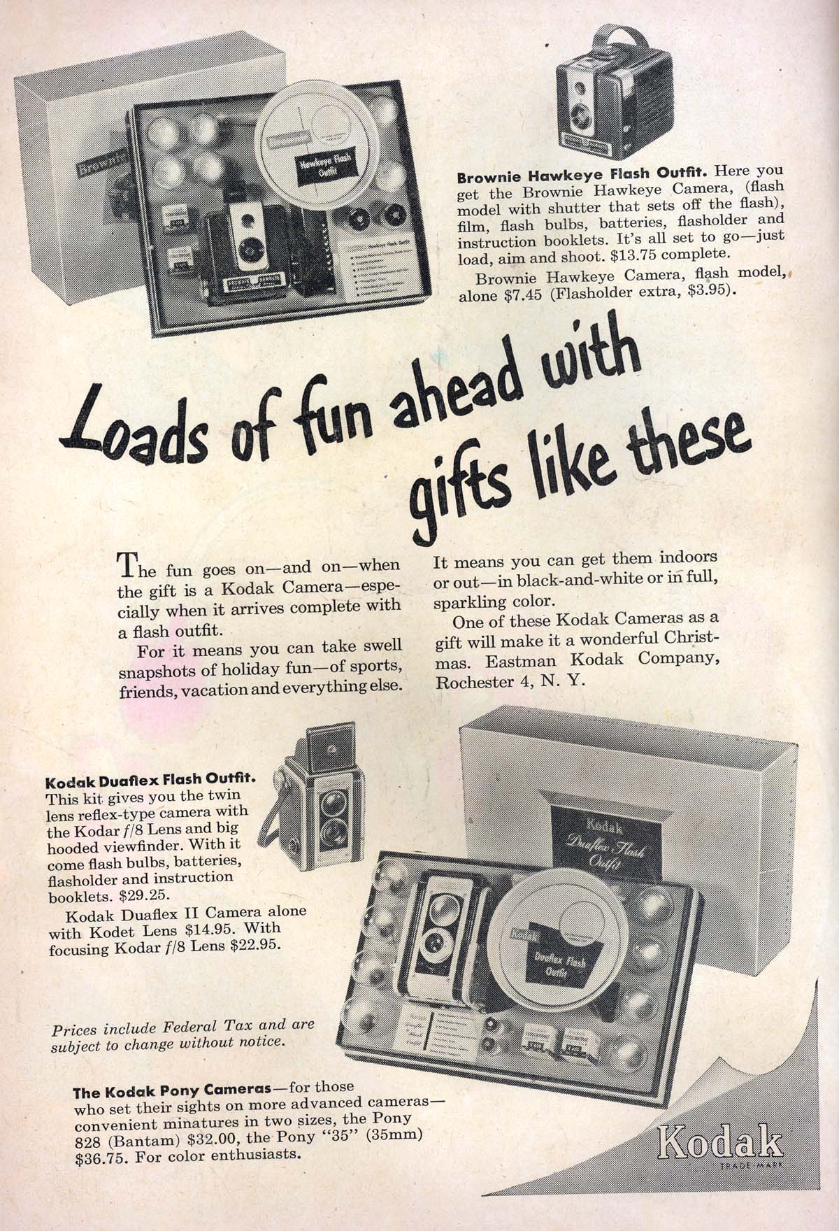 Read online Animal Antics comic -  Issue #36 - 2