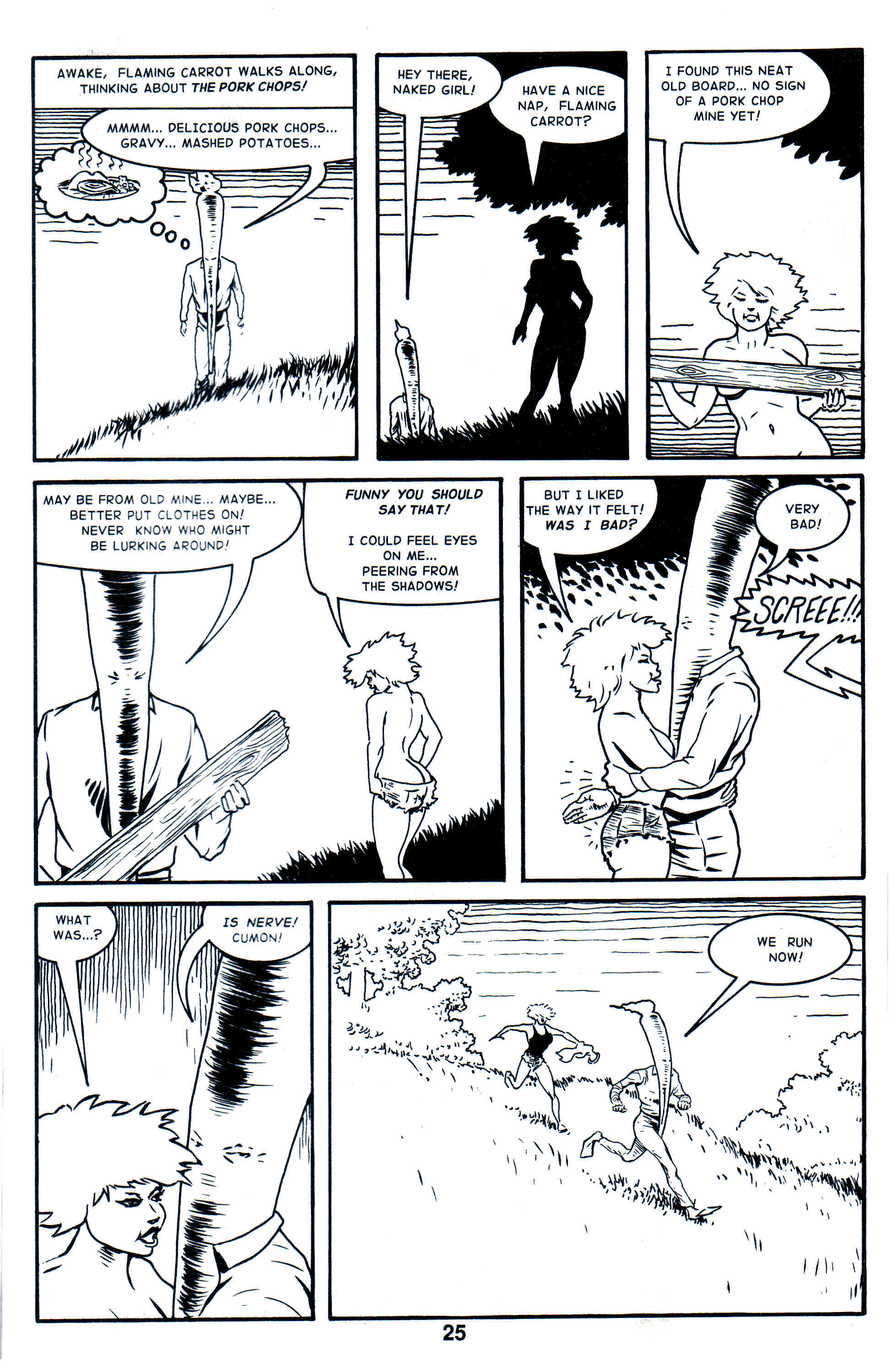Read online Flaming Carrot Comics (1988) comic -  Issue # _Annual 1 - 27
