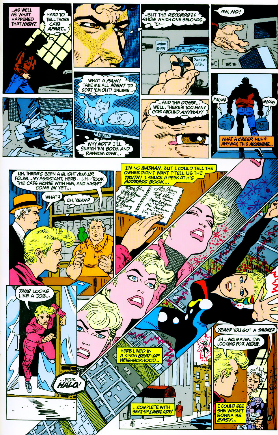 Read online The Outsiders (1985) comic -  Issue #9 - 24