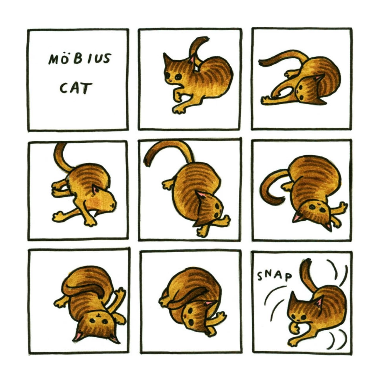 Read online Cats are Weird and More Observations comic -  Issue # TPB - 71