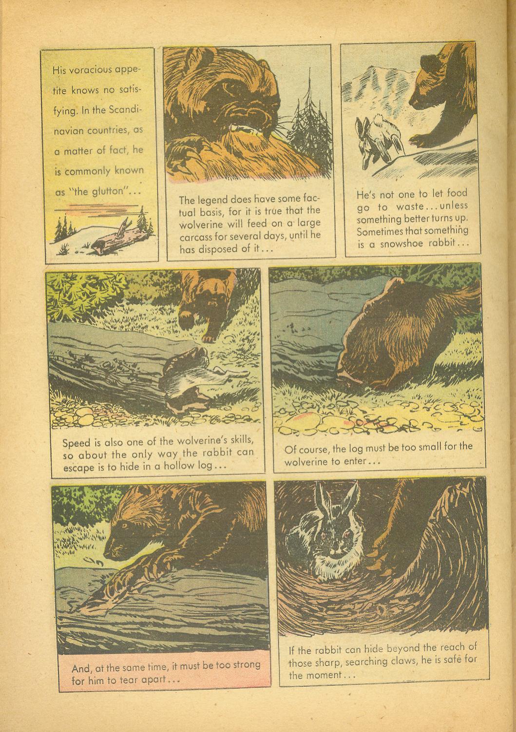 Read online Four Color Comics comic -  Issue #943 - 30