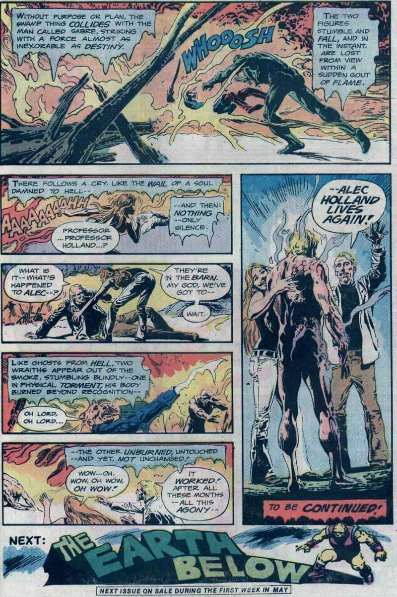 Read online Swamp Thing (1972) comic -  Issue #23 - 18