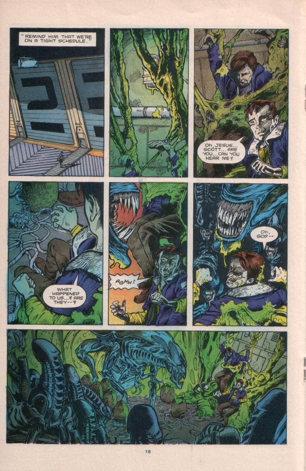 Read online Aliens vs. Predator comic -  Issue #2 - 18