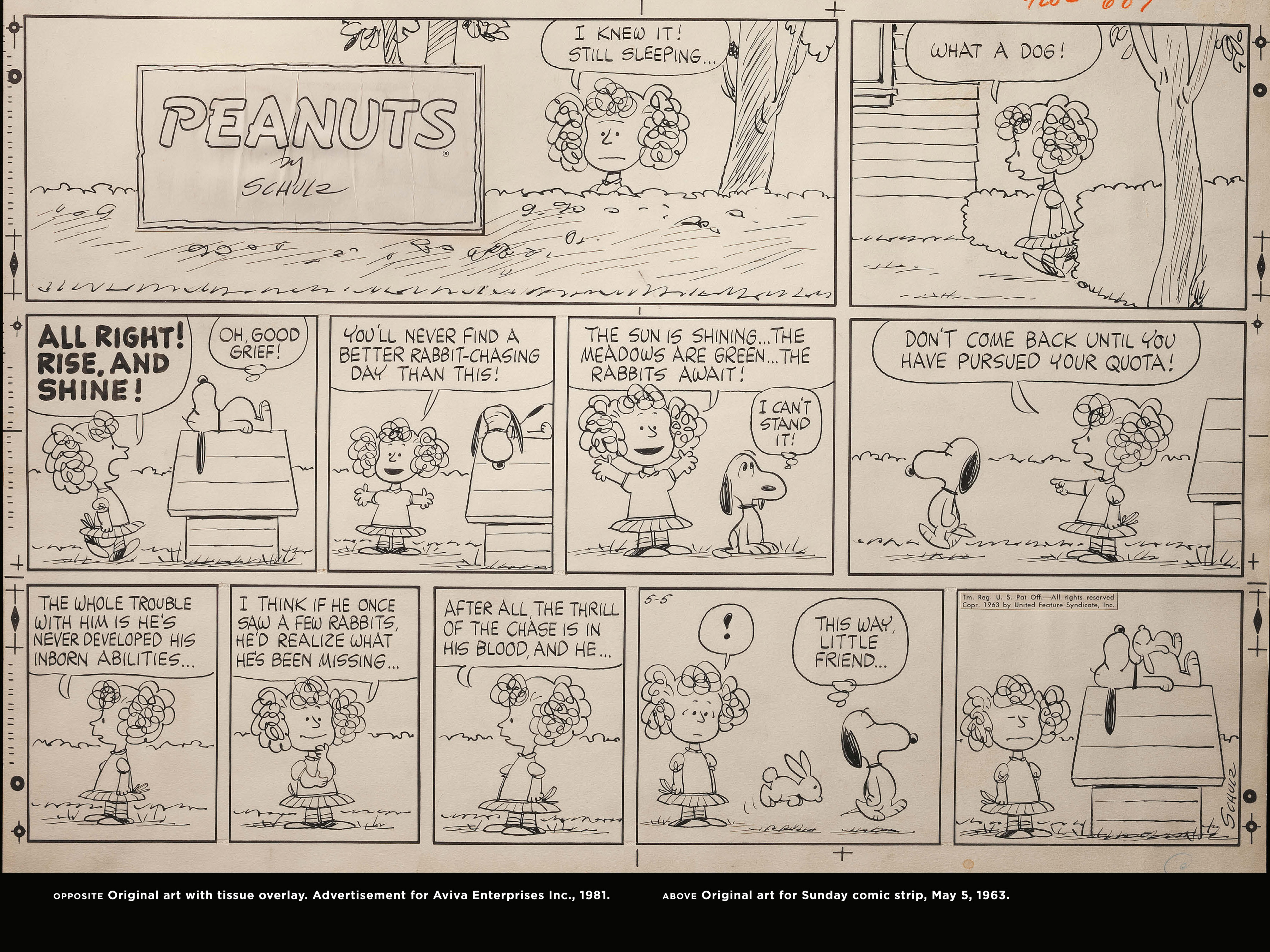 Read online Only What's Necessary: Charles M. Schulz and the Art of Peanuts comic -  Issue # TPB (Part 3) - 10