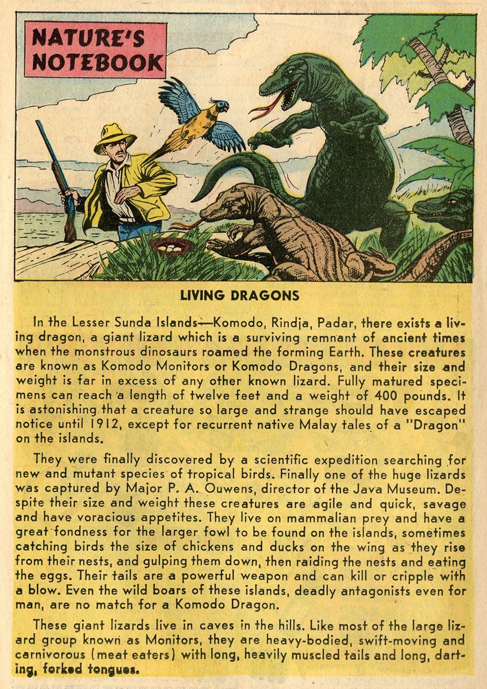 Read online Wilbur Comics comic -  Issue #81 - 11